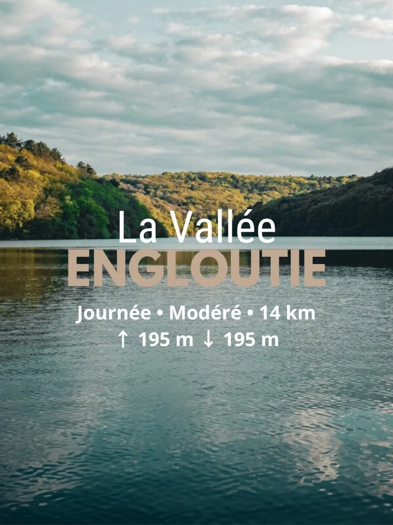 Rando-Gourmande à Guerlédan : La Vallée Engloutie