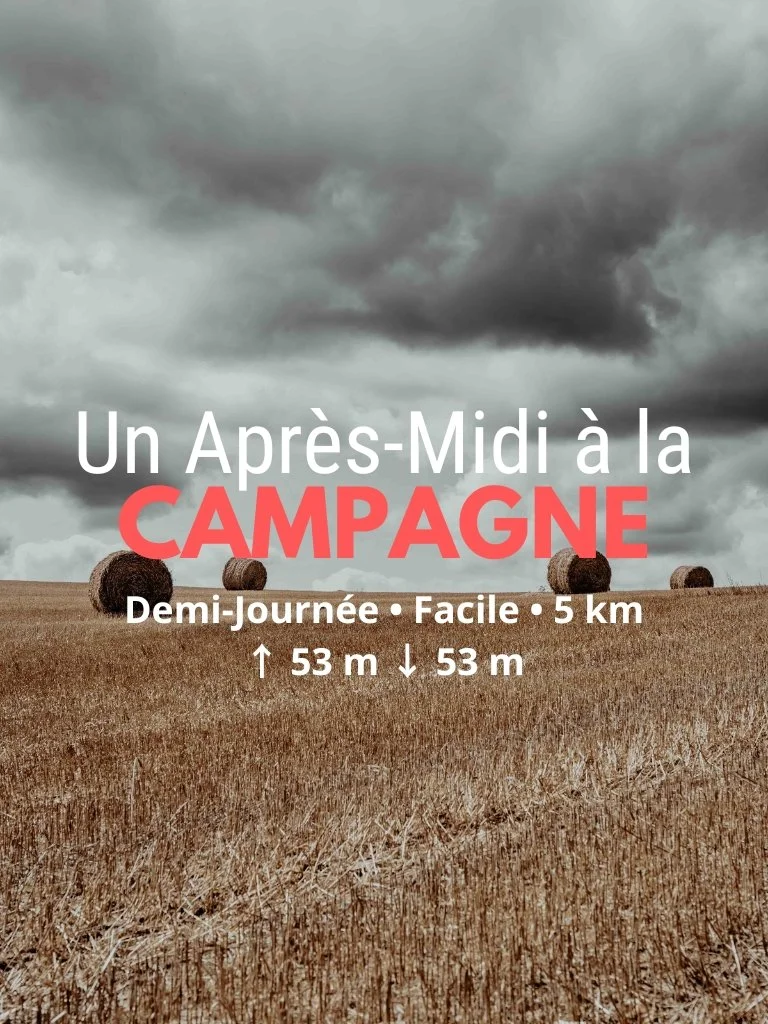 Rando-Goûter à Moustéru : Un Après-Midi à la Campagne