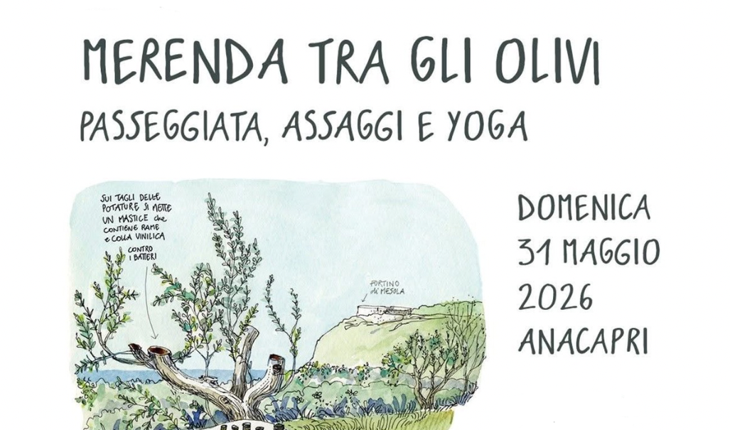 Passeggiata tra gli olivi 2026