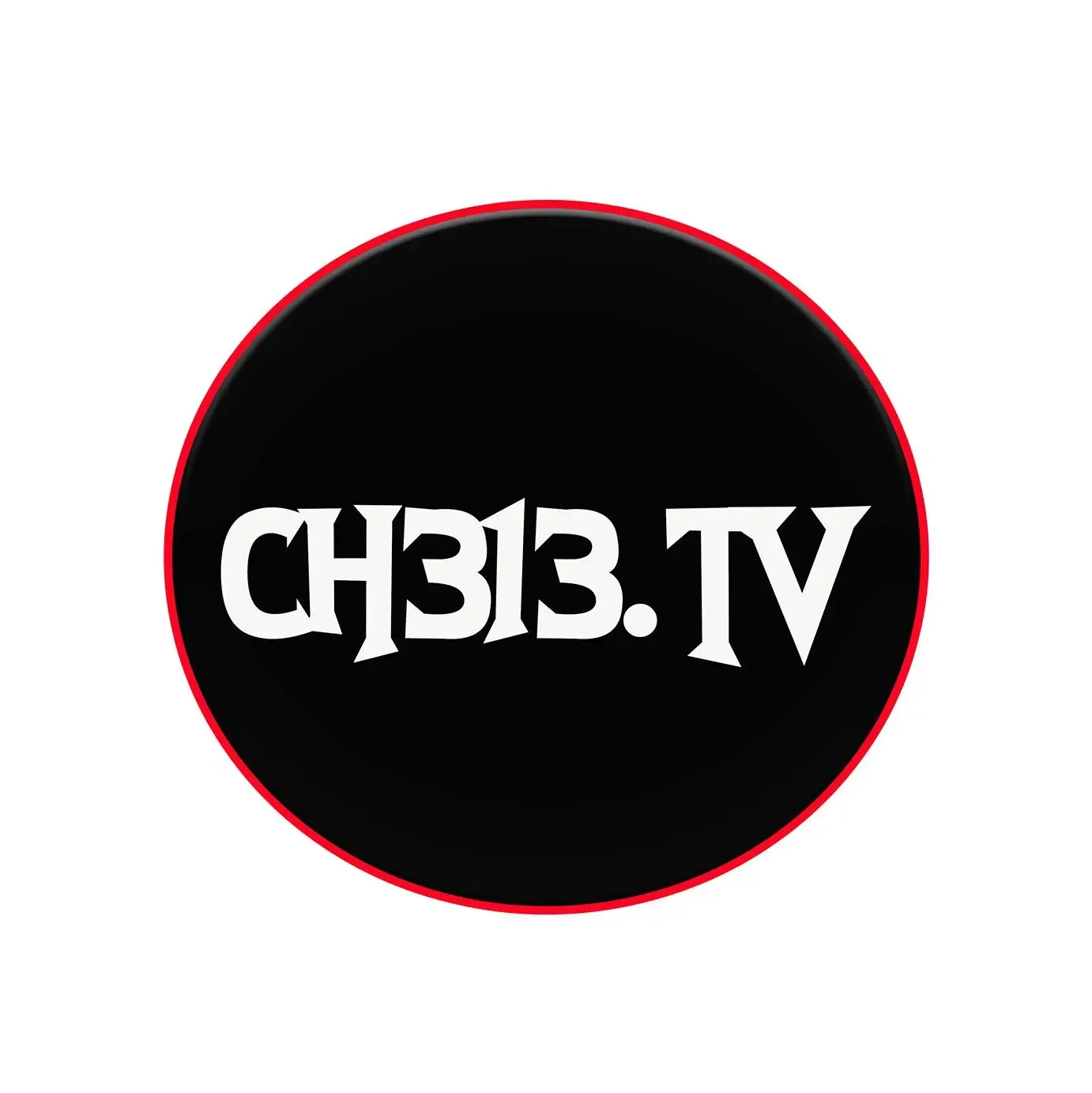 ch313.logo_.webp