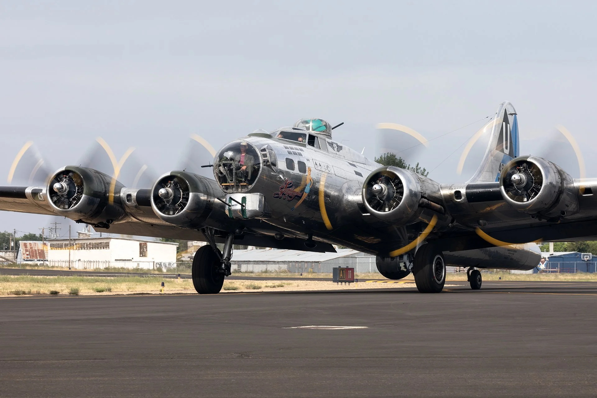 SJ '23 Taxi back LR.jpg