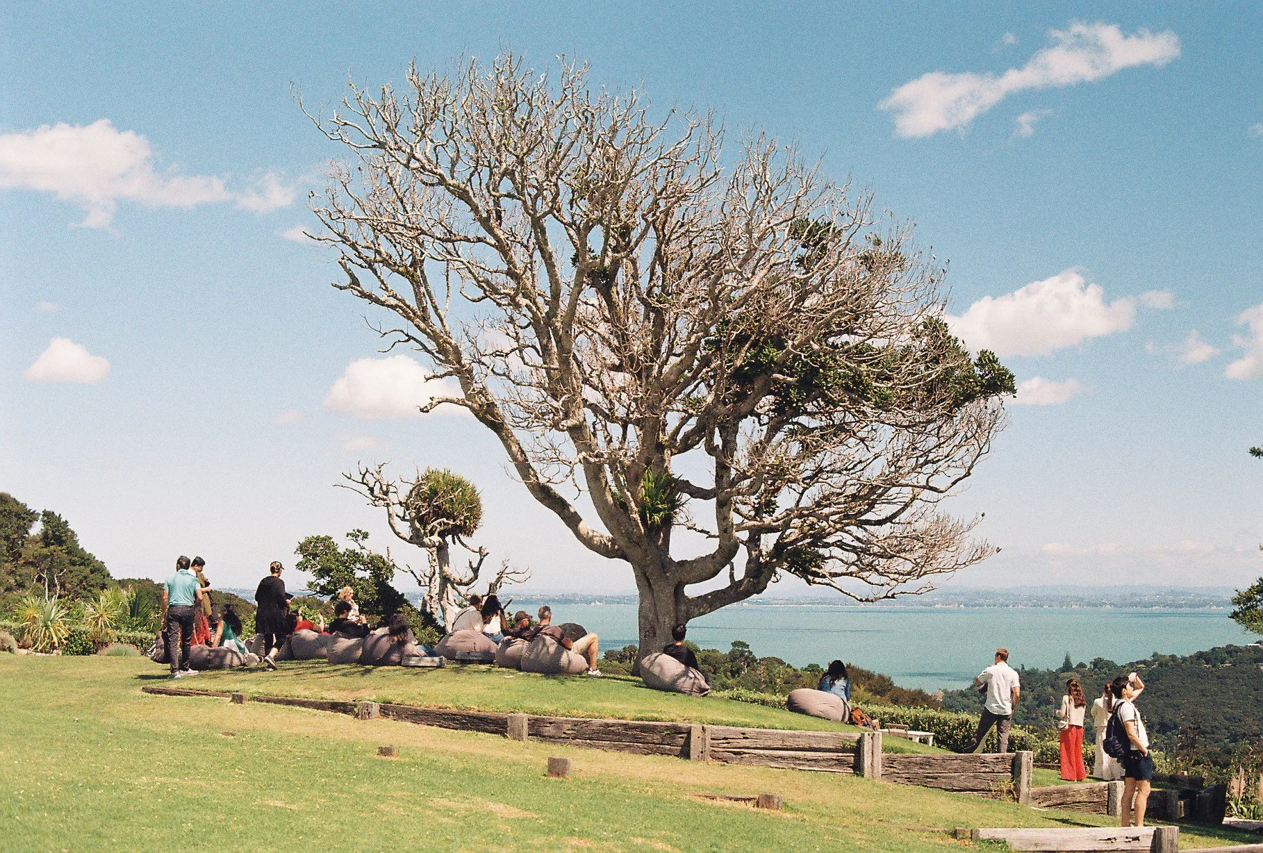 New Zealand on Vintage 35MM Film
