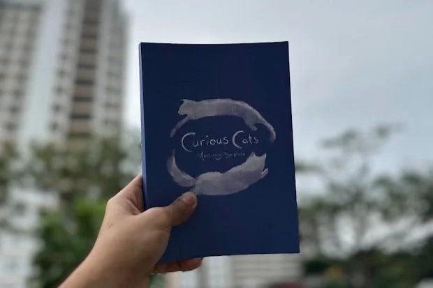 Curious Cats Children’s Book Notebook Project
