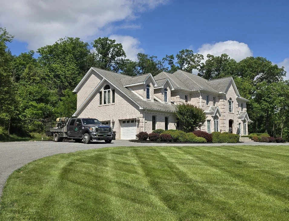 Treatment Maldonando.jpg