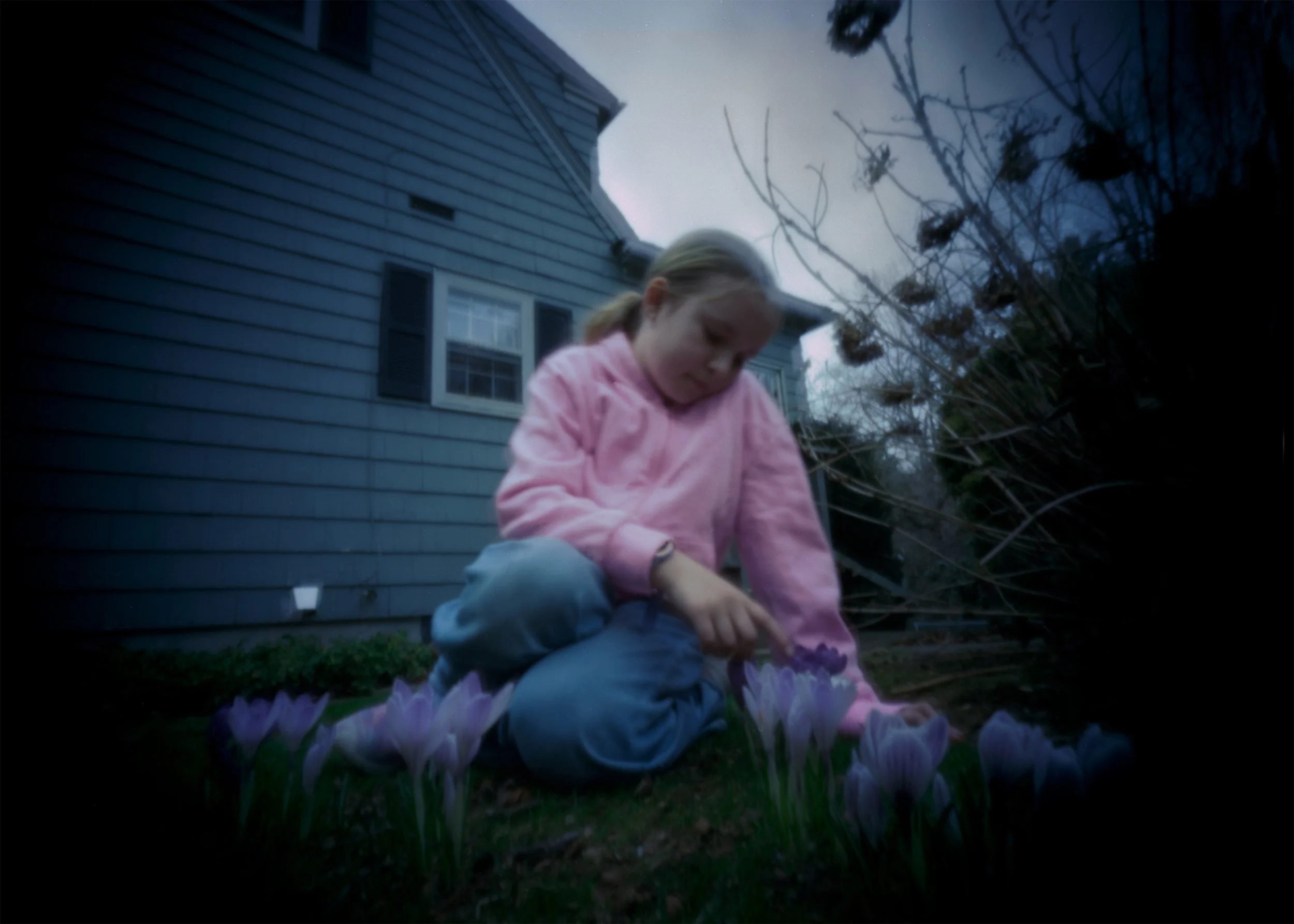 Ava_Flowers.jpg