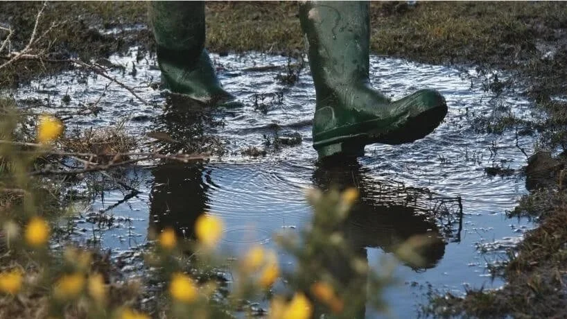 Spring is Here (Sort of) 