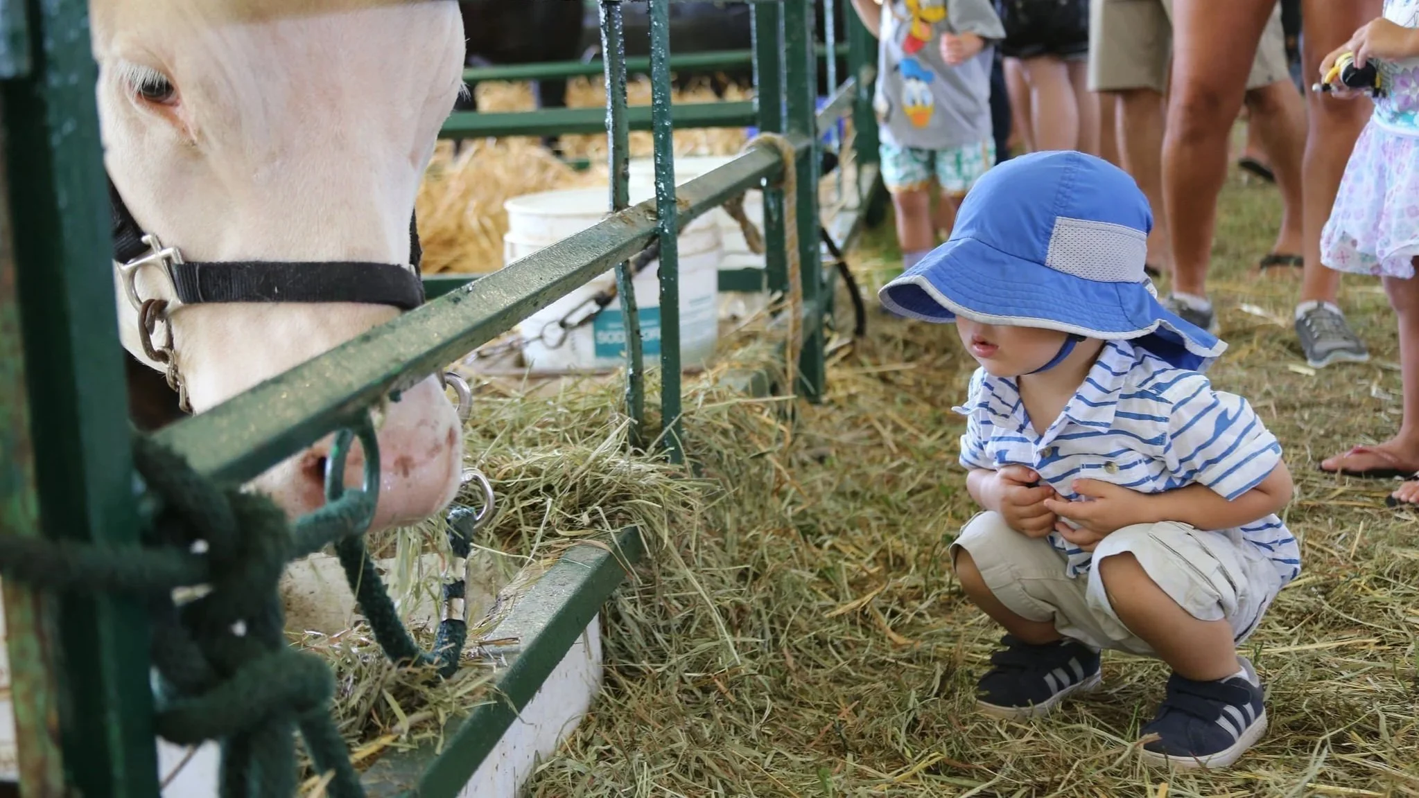 Fall Fair Season Has Arrived!