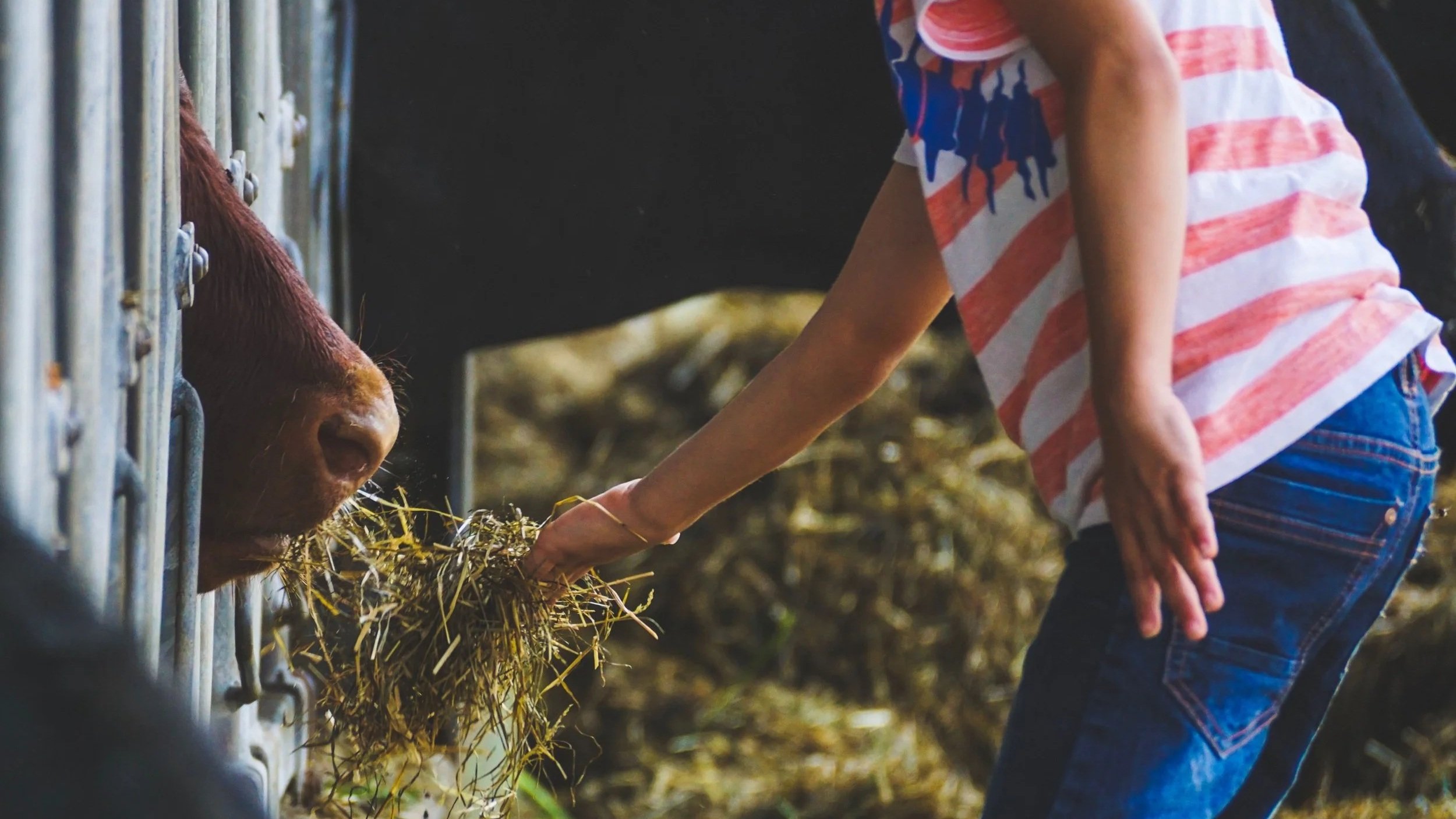 Fall Fair Season Has Arrived!