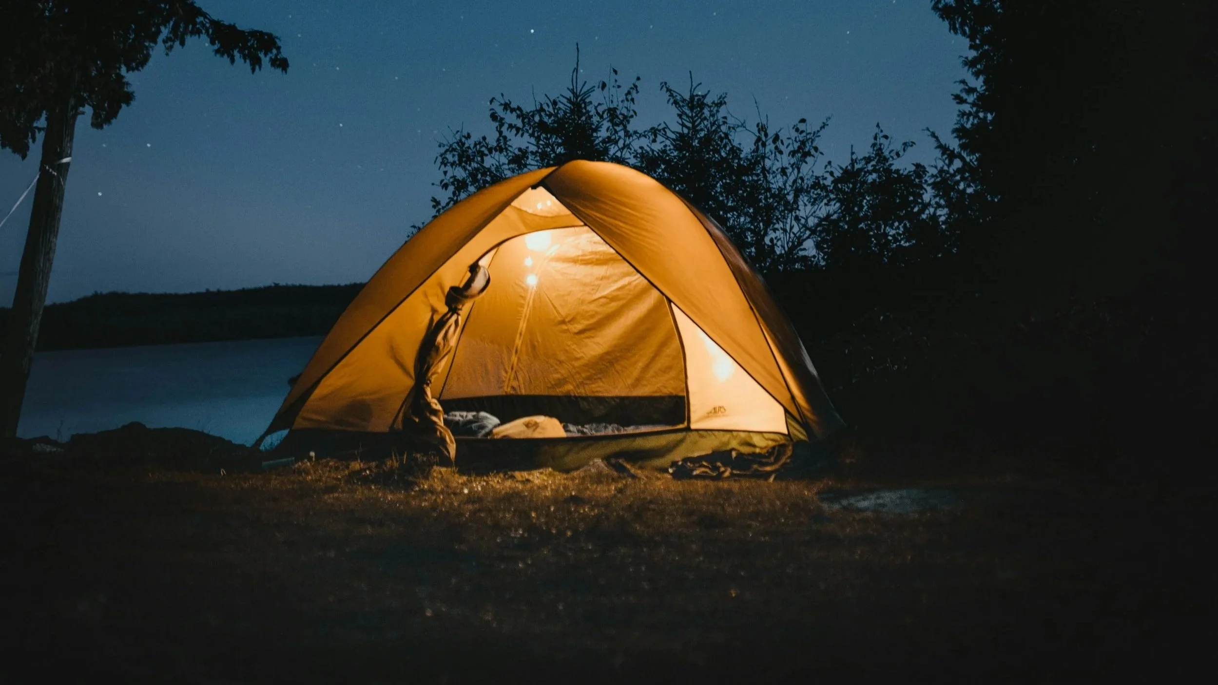 Your May Two-Four Weekend Field Guide