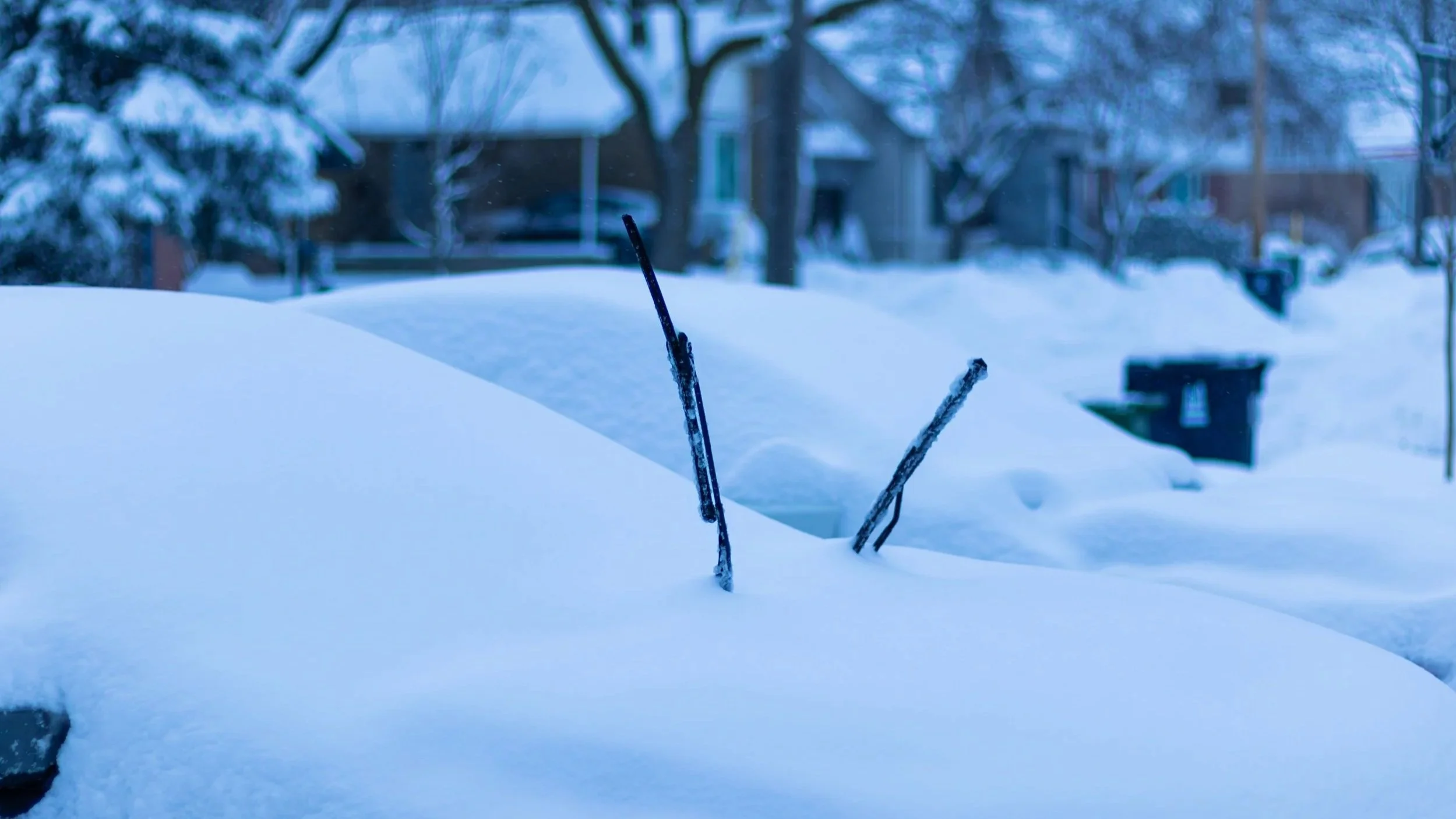 Surviving Canadian Winters