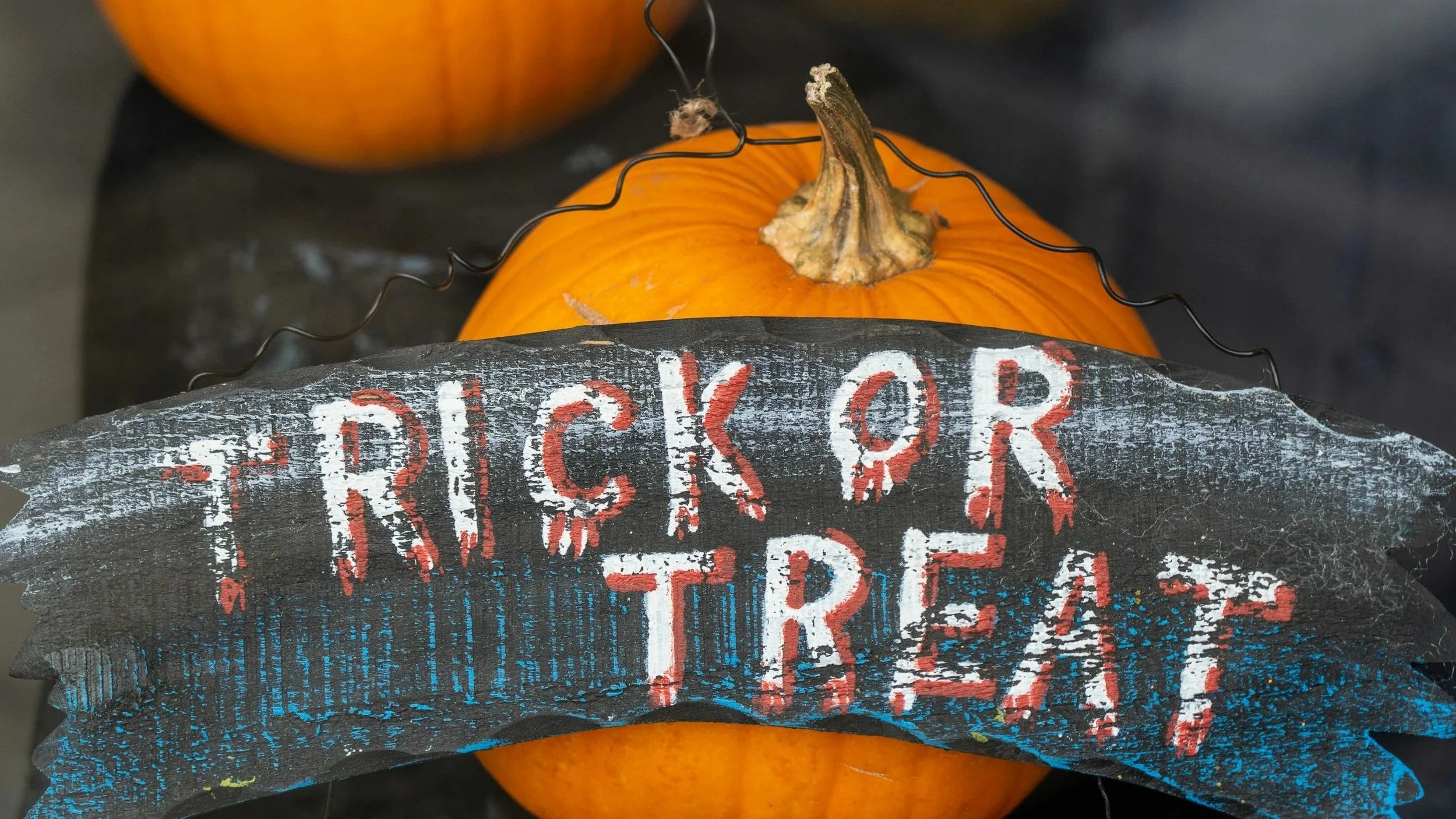 A Spooktacular Halloween 
