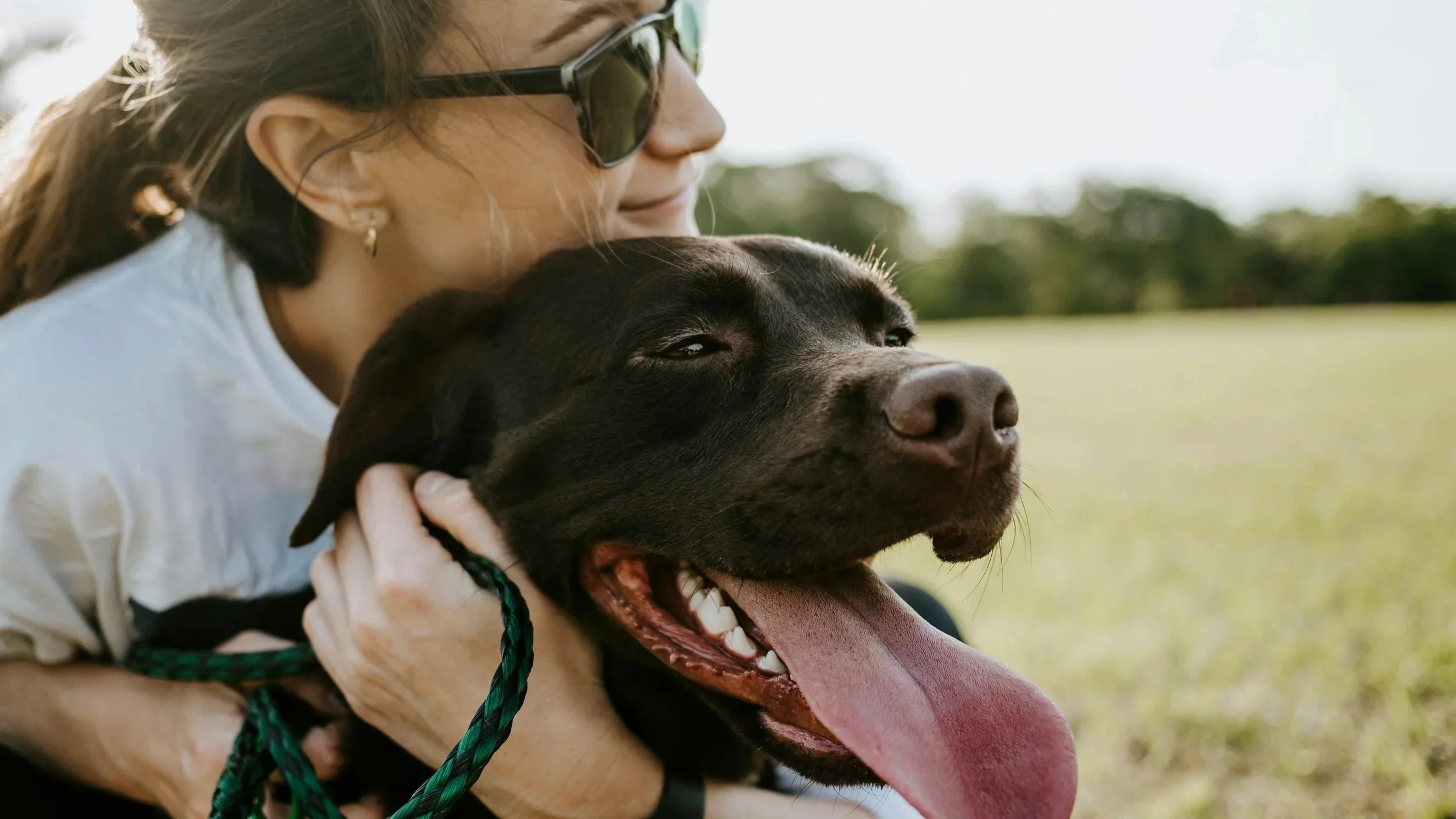 Discover Dog-Friendly London, Ontario