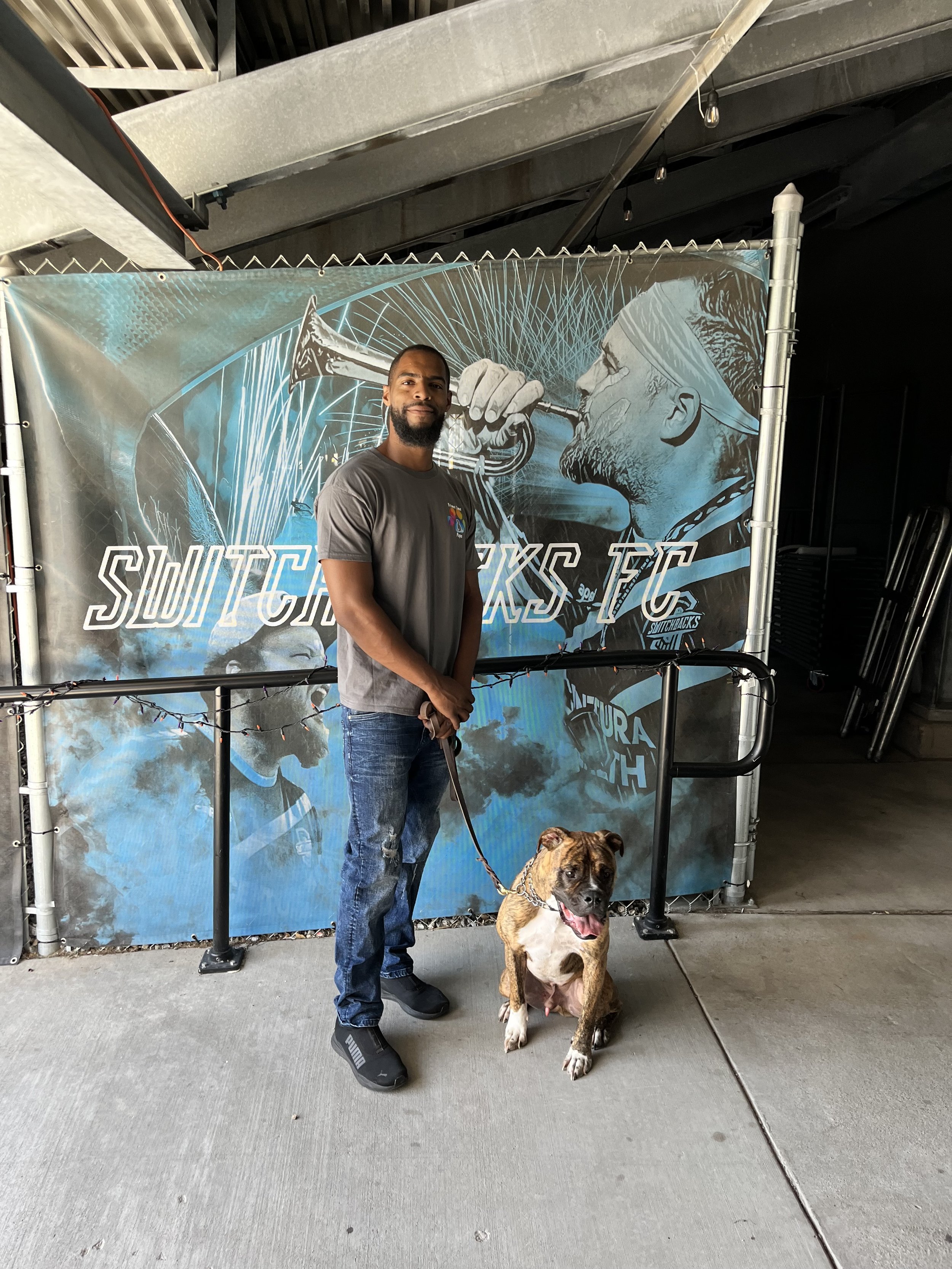 Dog Training Colorado Springs Puppy Obedience Trainer Prime Time Pups