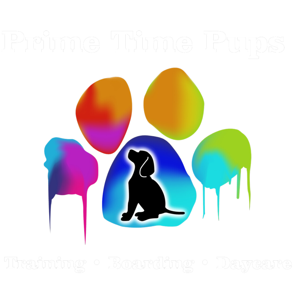 Prime Time Pups | Dog Training And Day Care Center