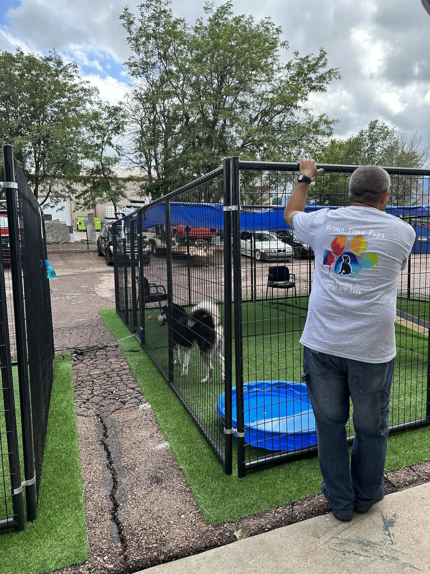 Dog Boarding Colorado Springs Pet Hotel Prime Time Pups