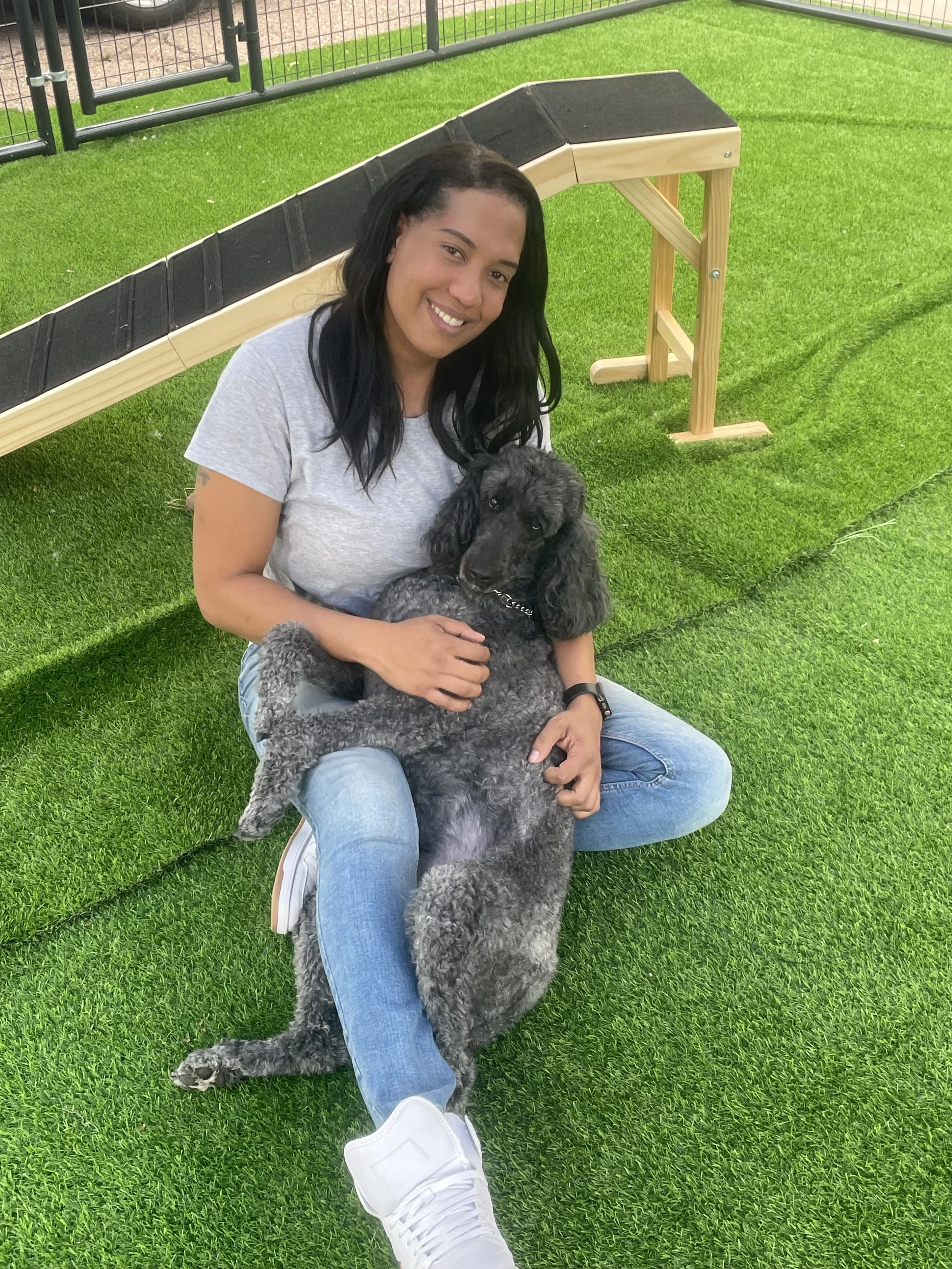 Dog Boarding Colorado Springs Pet Hotel Prime Time Pups