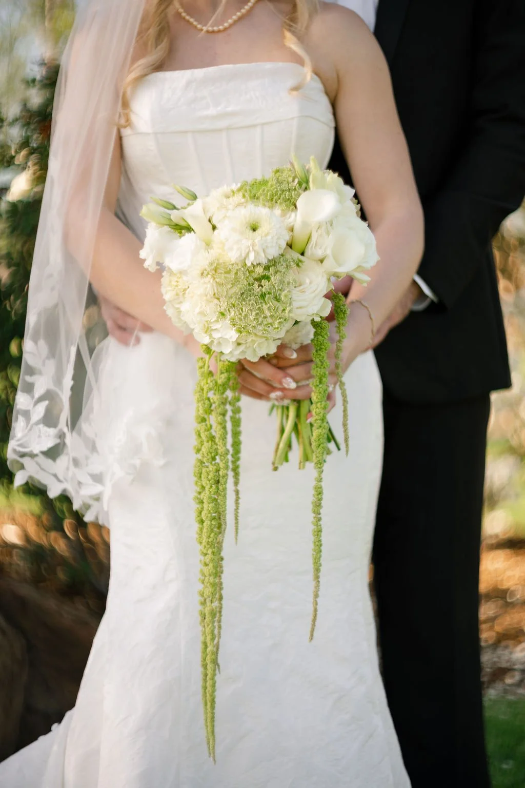 JudyWagnerPhoto360.jpg
