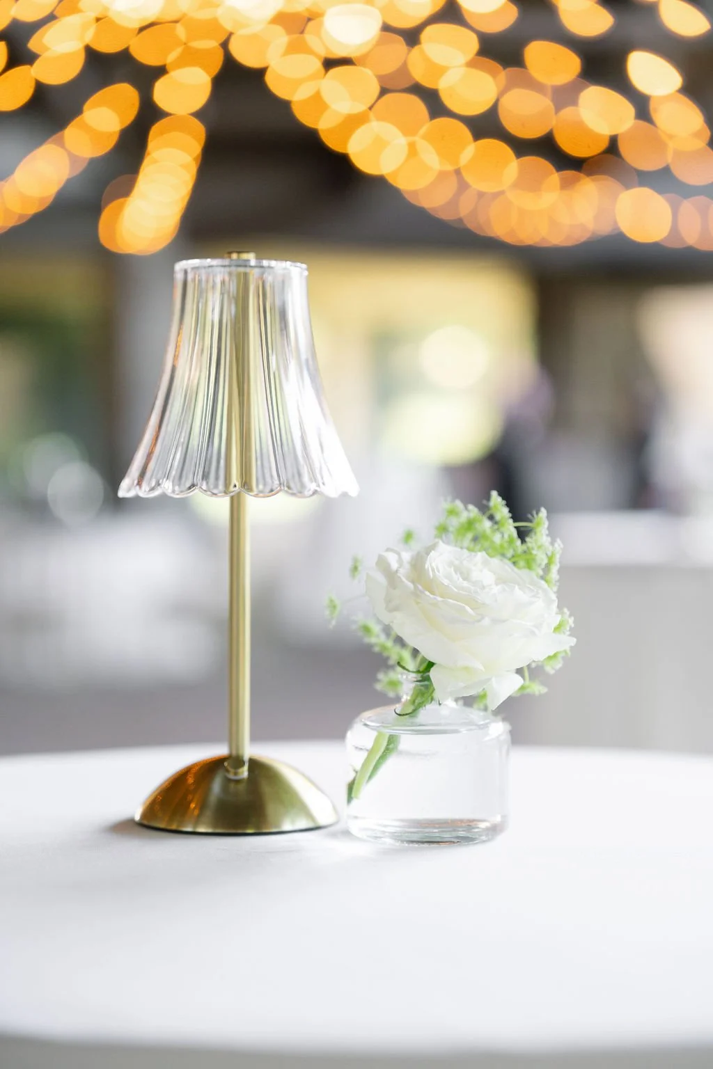 JudyWagnerPhoto143.jpg