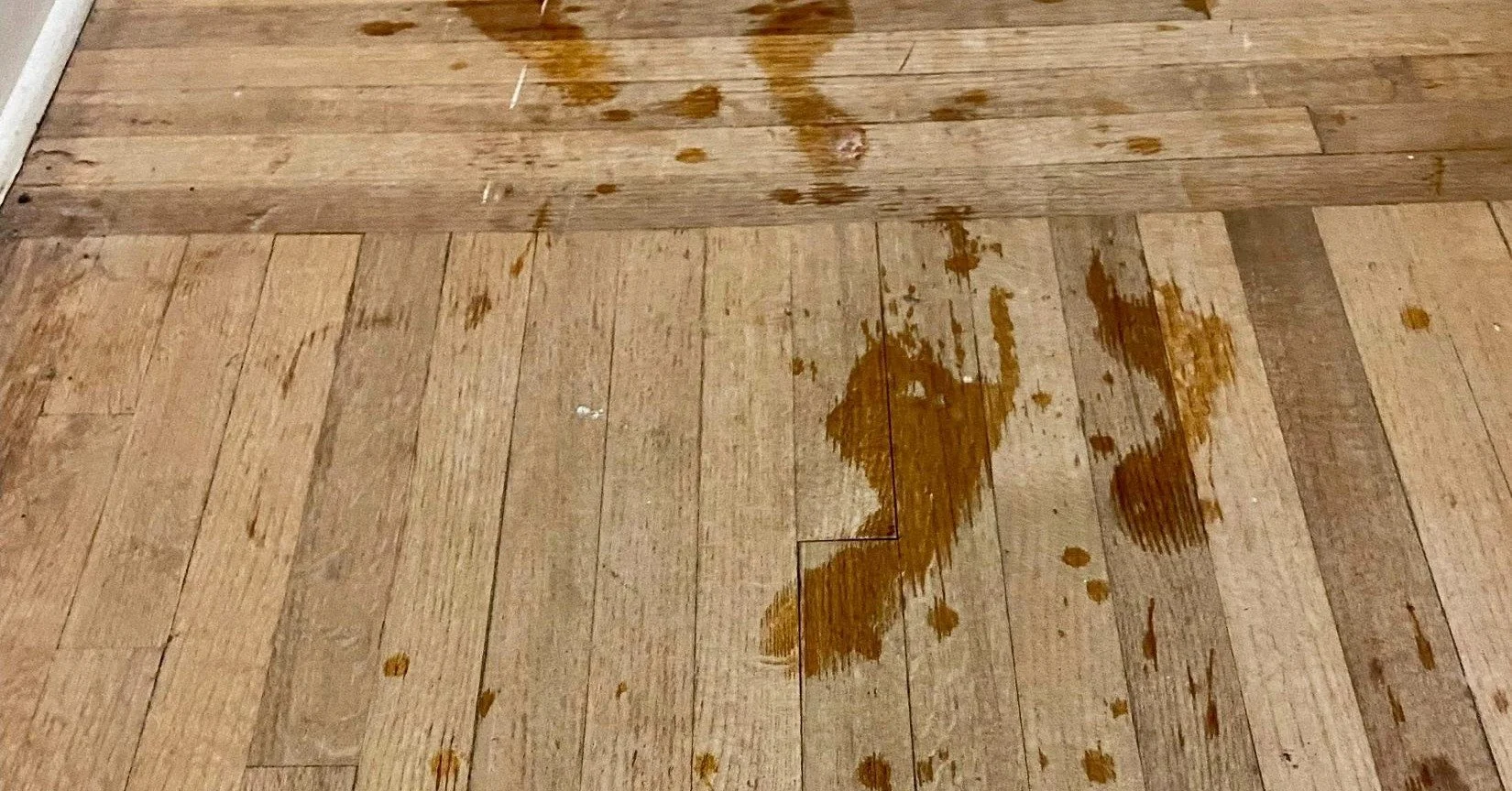 📅 This Week at Westside
God is at work in our church family, and this week is full of opportunities to gather, grow, and serve together. Here's What's Coming Up At Westside:

⸻
🔥 Wednesday at Westside
Wednesday Schedule
	&bull;	11:00 AM &ndash; Lun