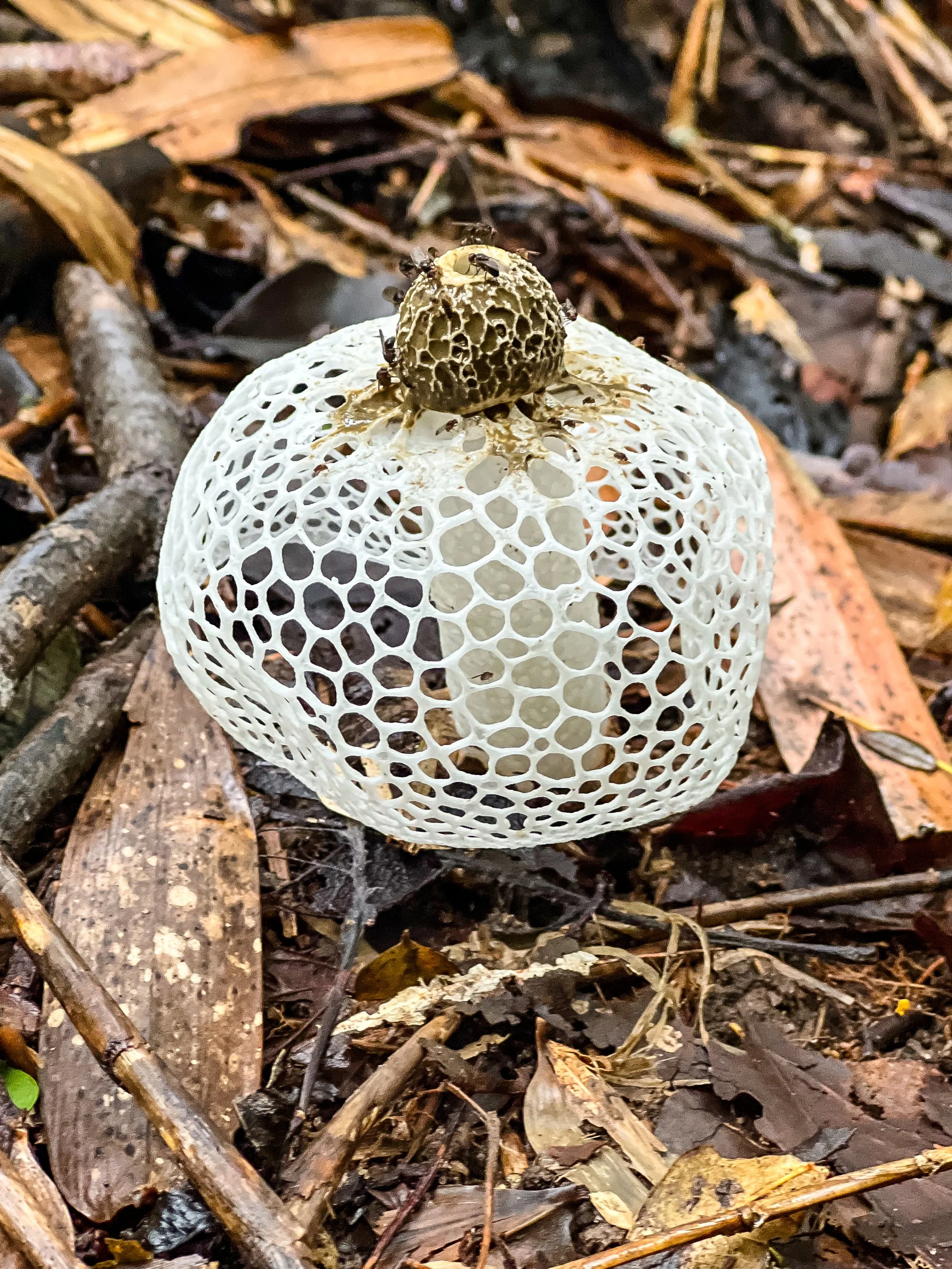 website compression-2-2.jpg