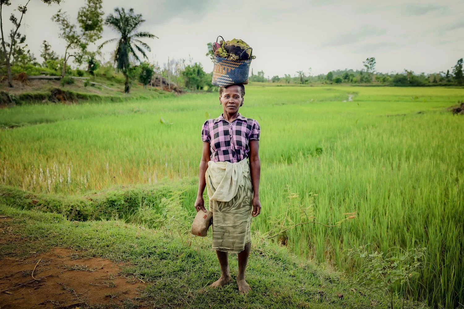 website+compression-37 copy.jpg