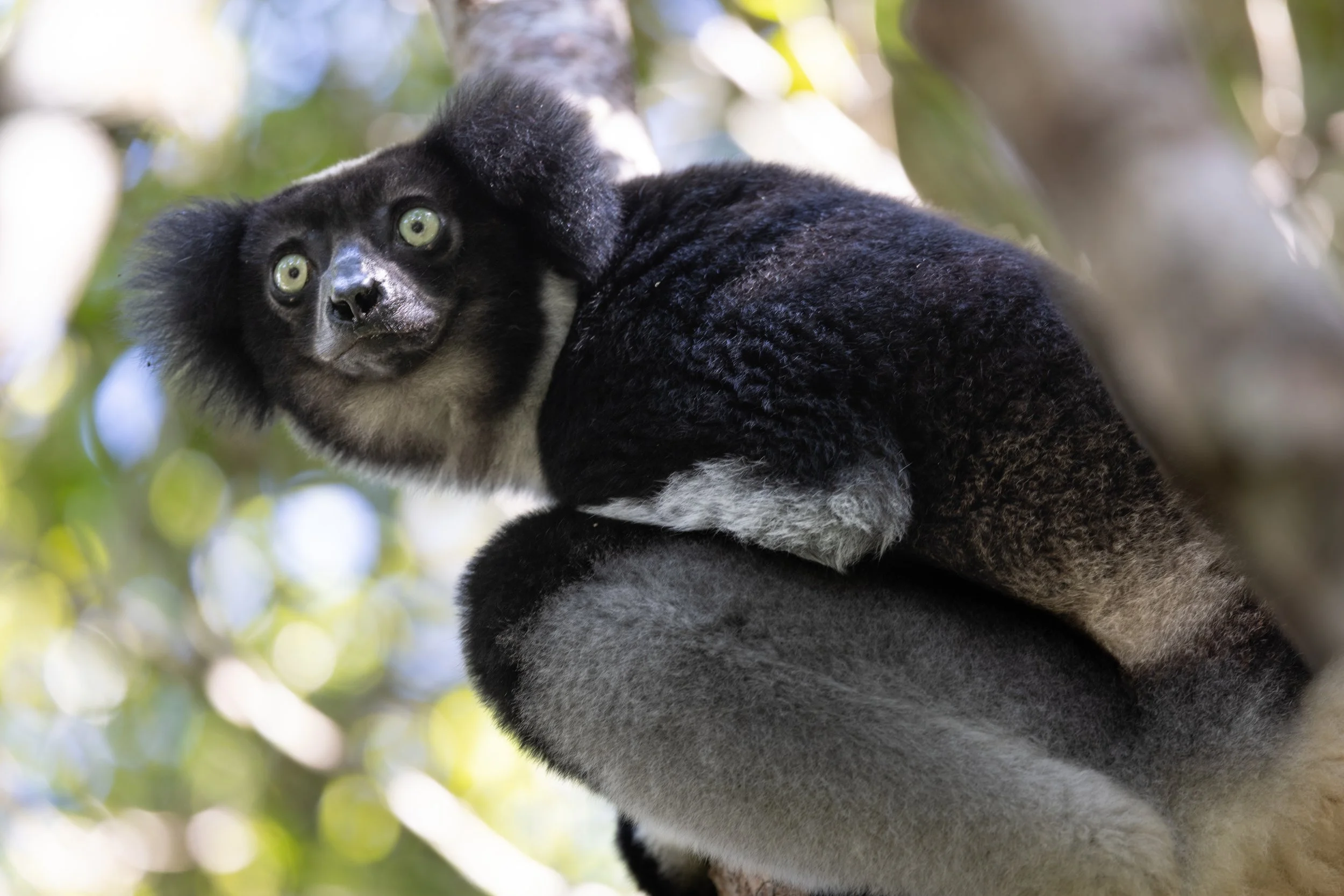 website compression-5.jpg