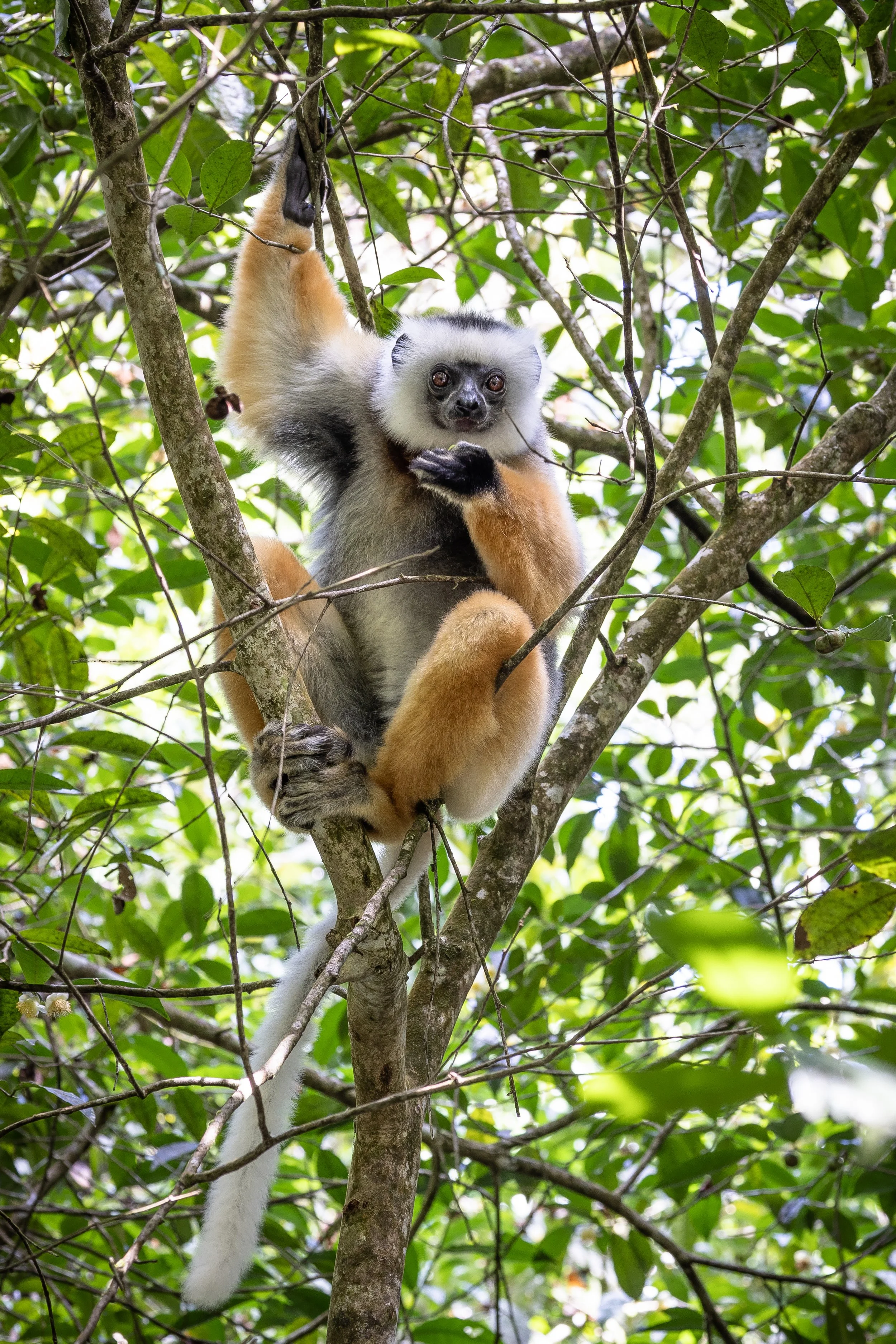 website compression-159.jpg