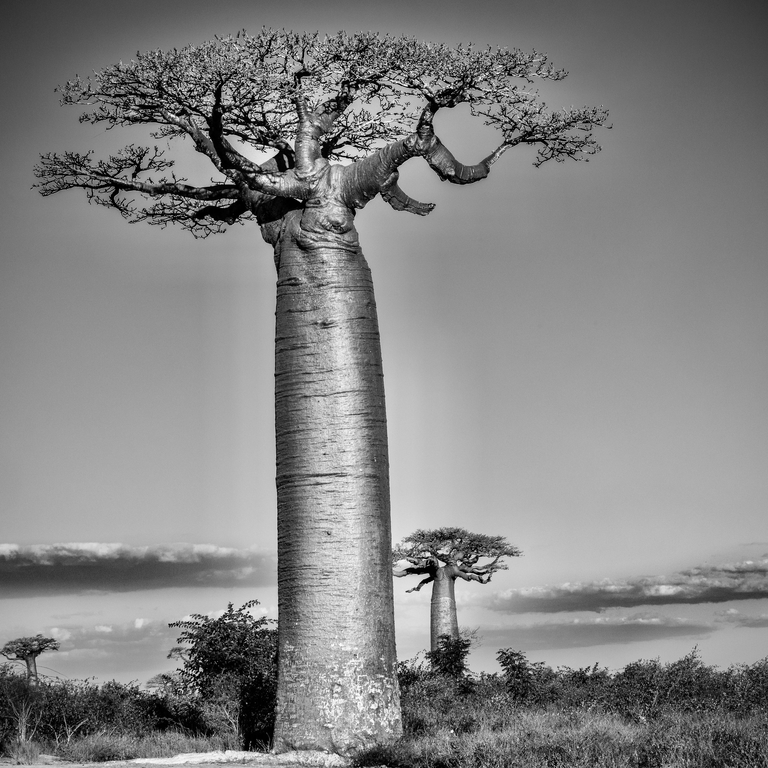 website compression-102.jpg