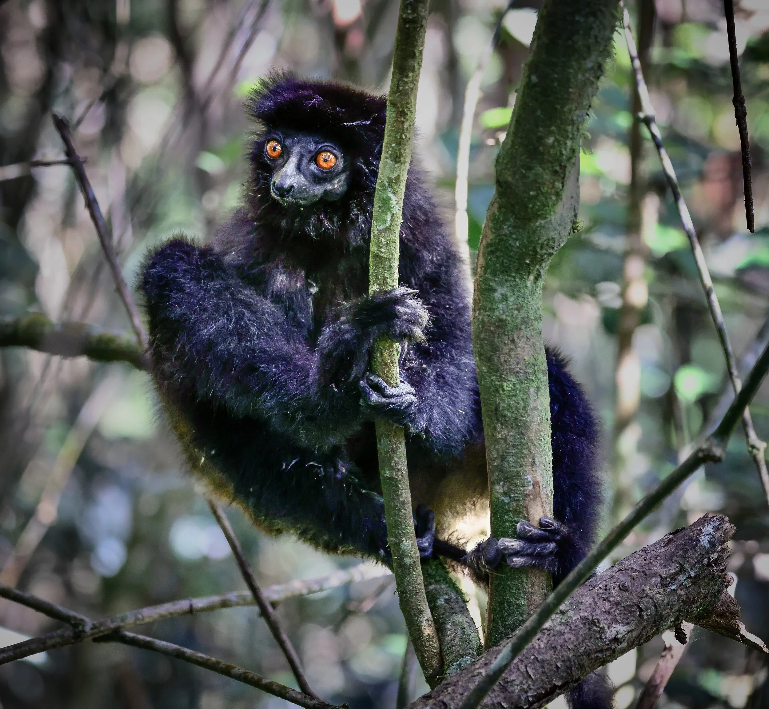 website compression-66.jpg