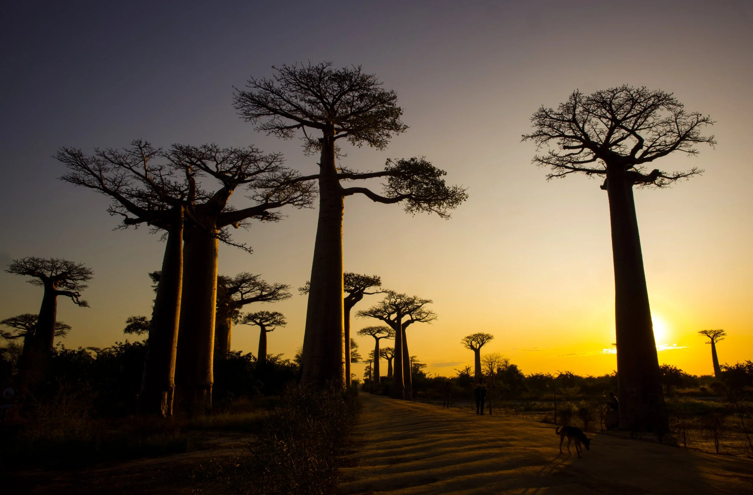 website compression-157.jpg