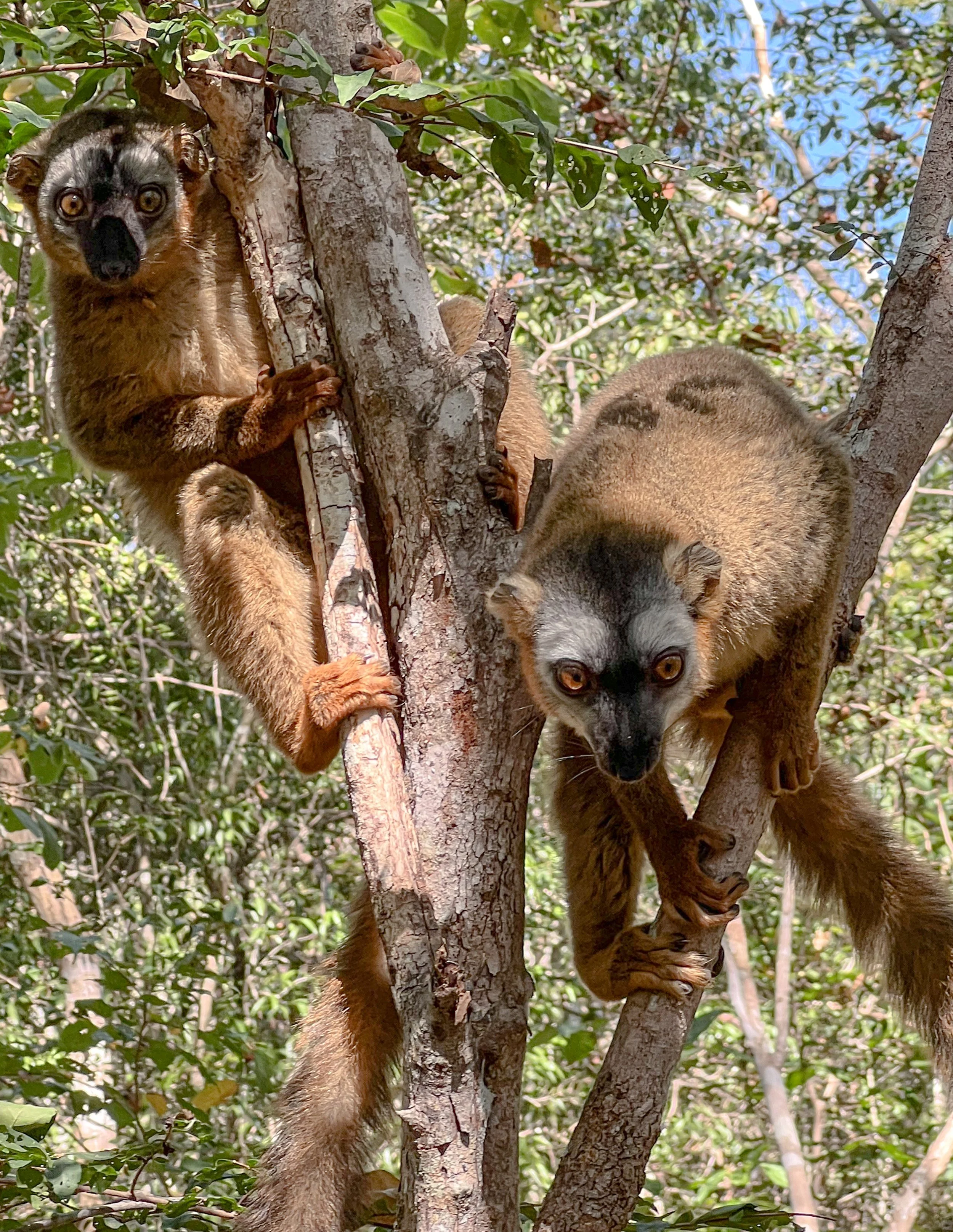 website compression-114.jpg