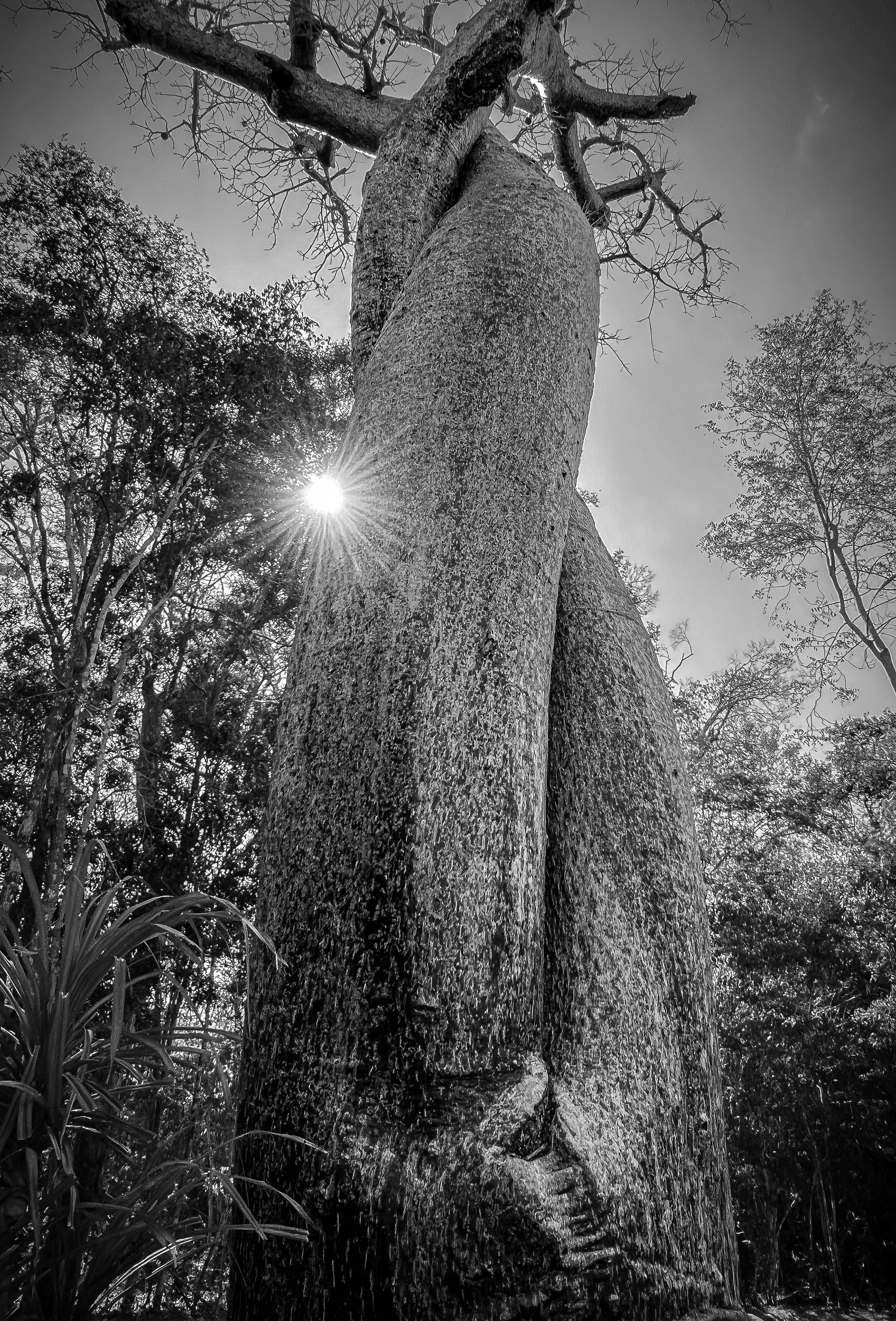 website compression-122.jpg