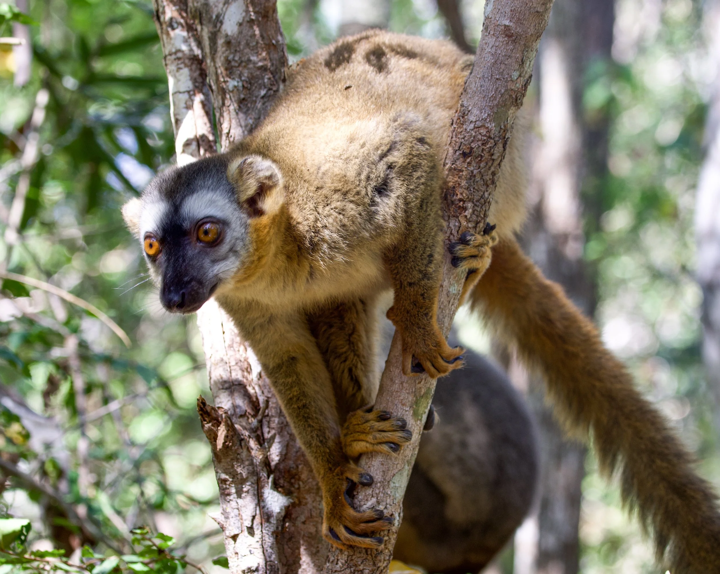 website compression-117.jpg