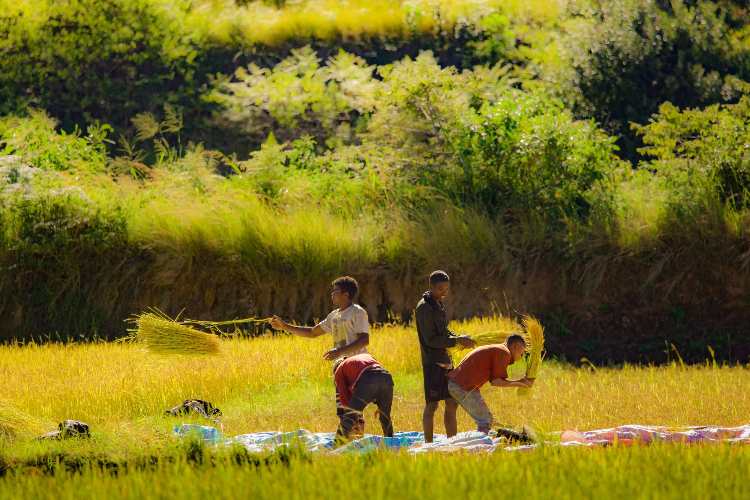 website compression-95.jpg