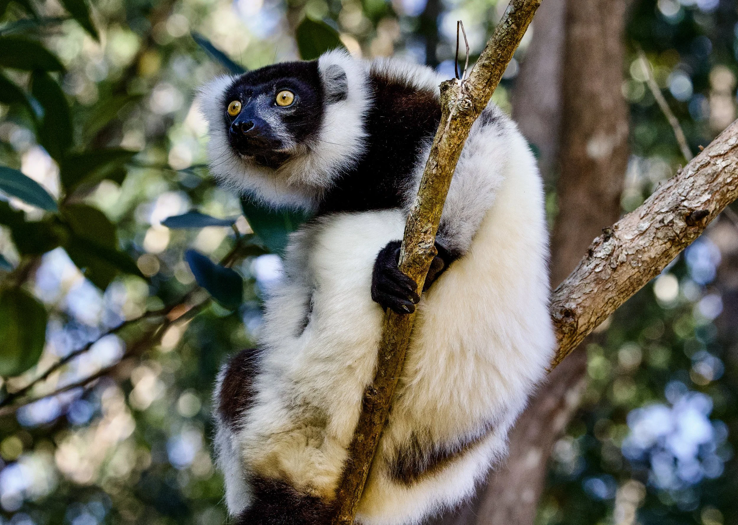 website compression-173.jpg