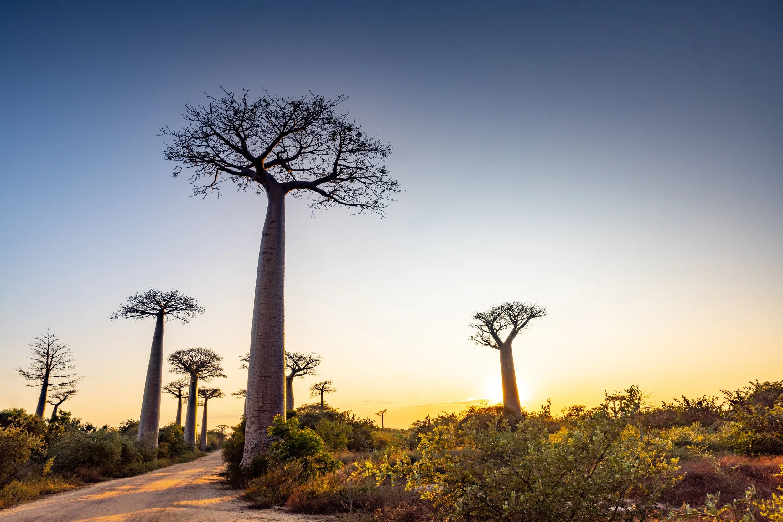 website compression-3.jpg