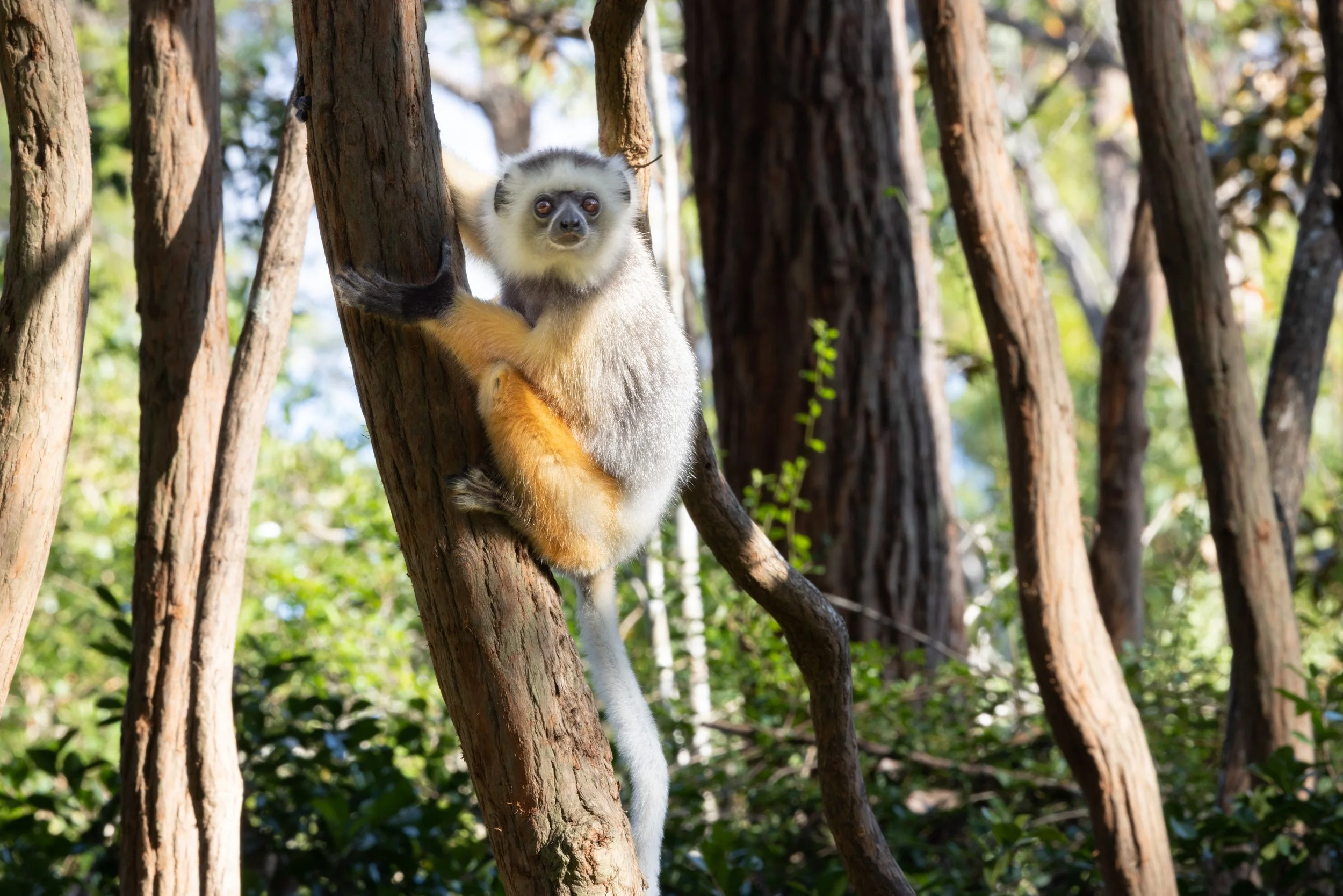 website compression-6.jpg