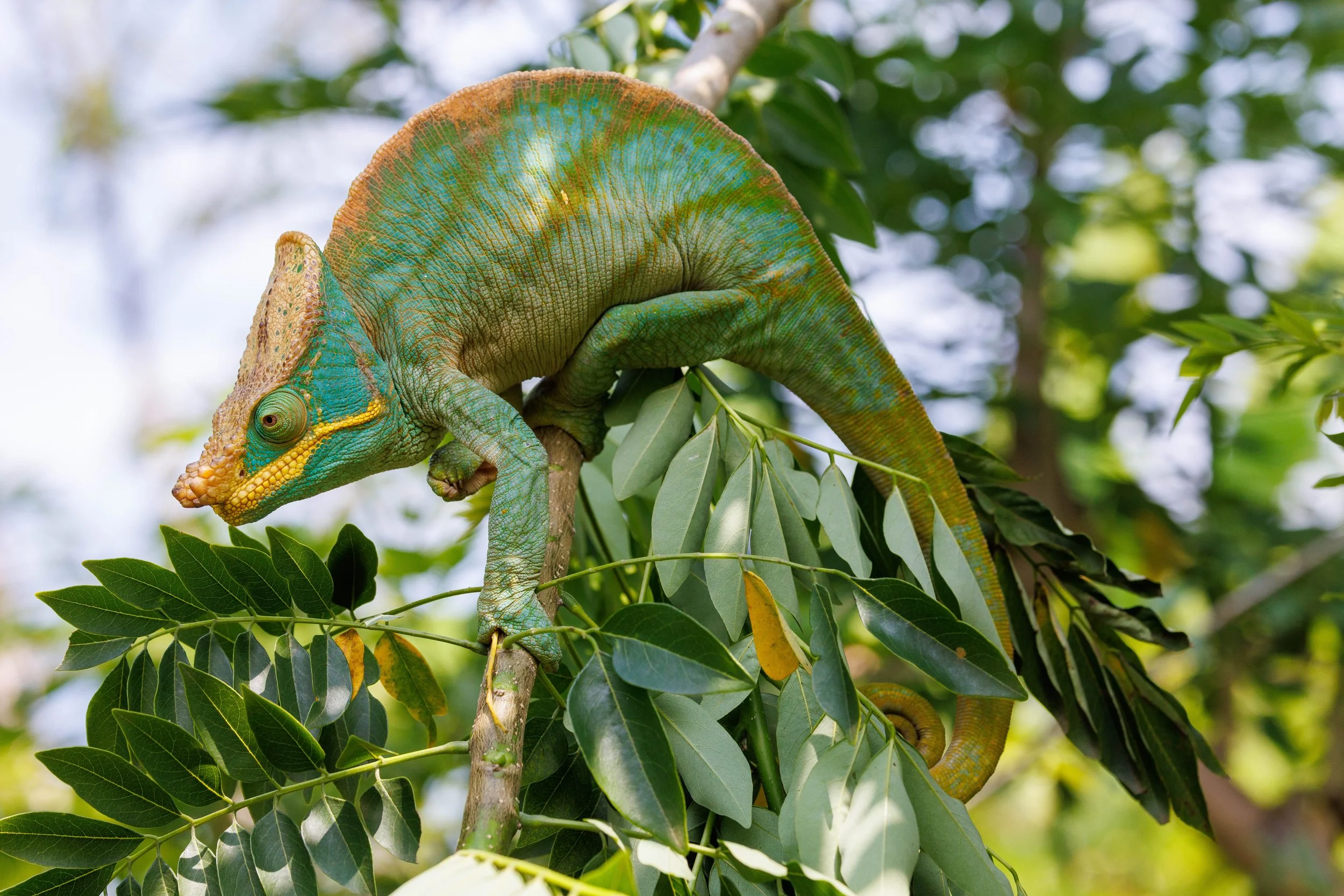 02.23.2025_JHS Madagascar-1-18.jpg