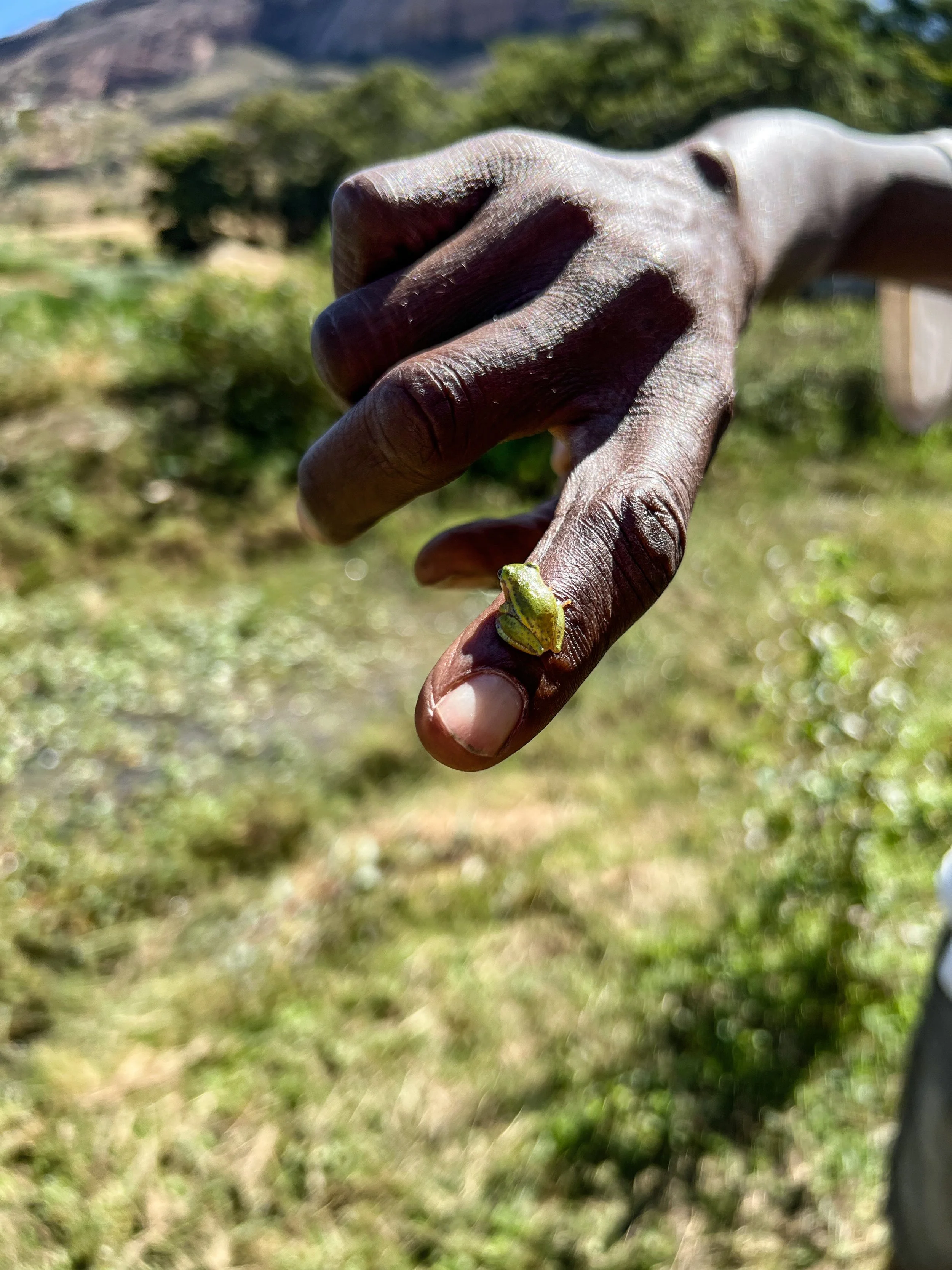 website compression-75.jpg