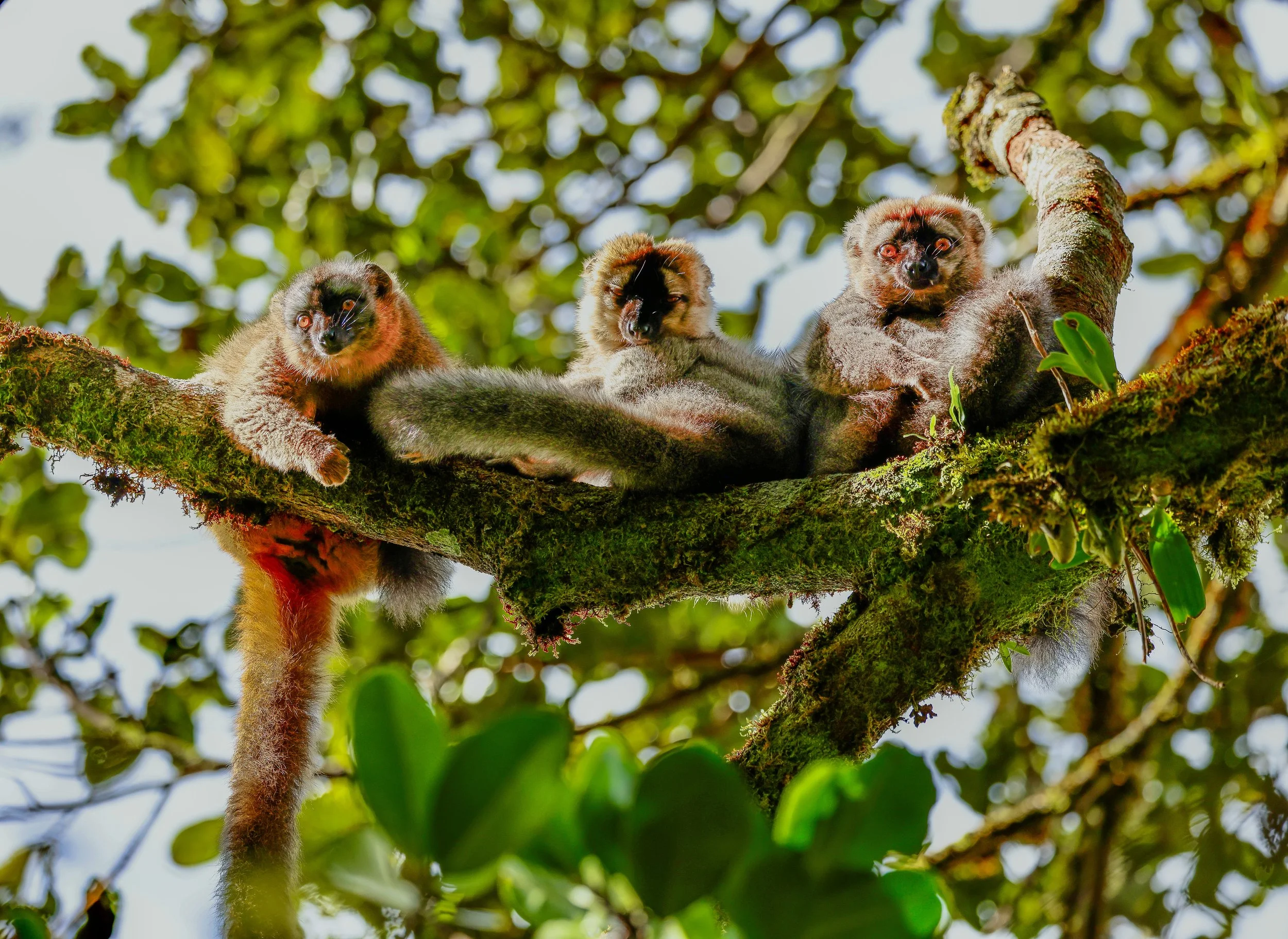 website compression-60.jpg