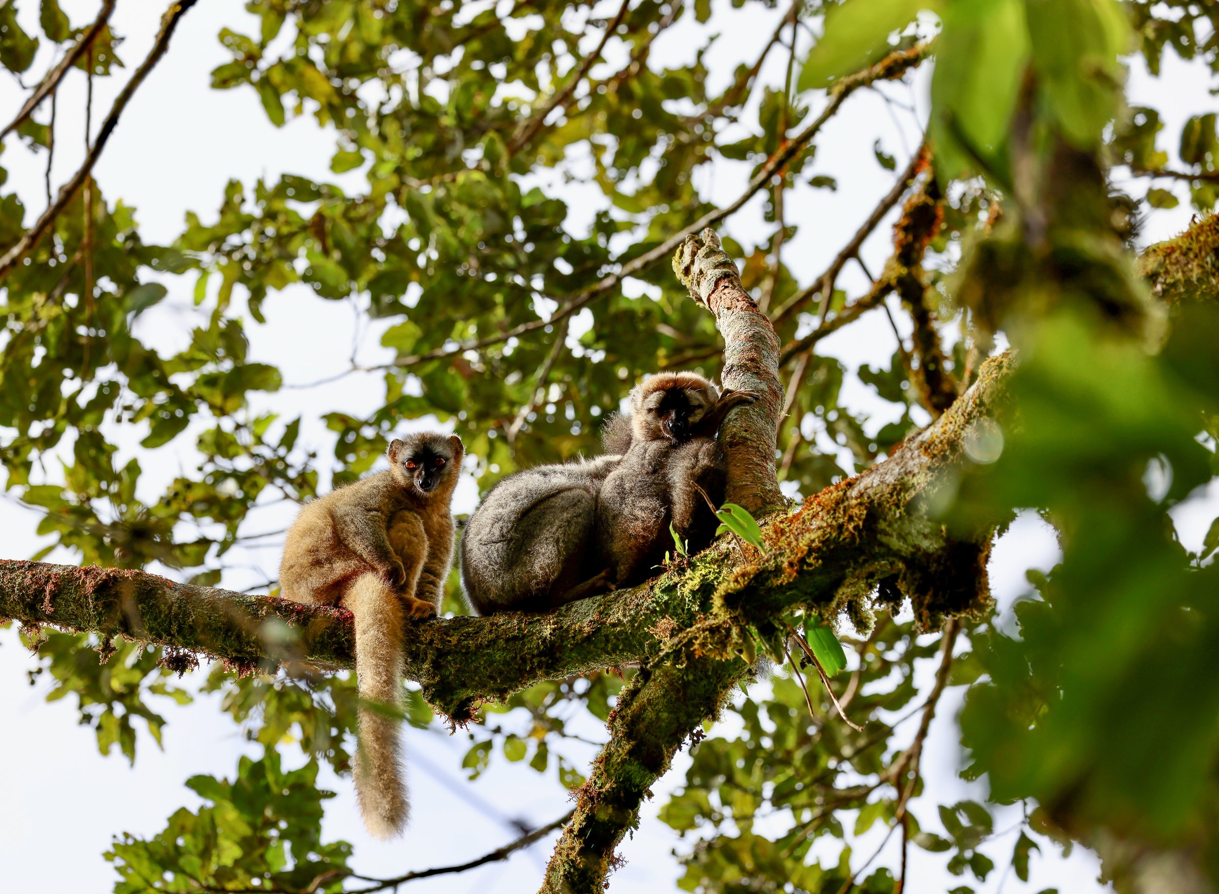 website compression-58.jpg