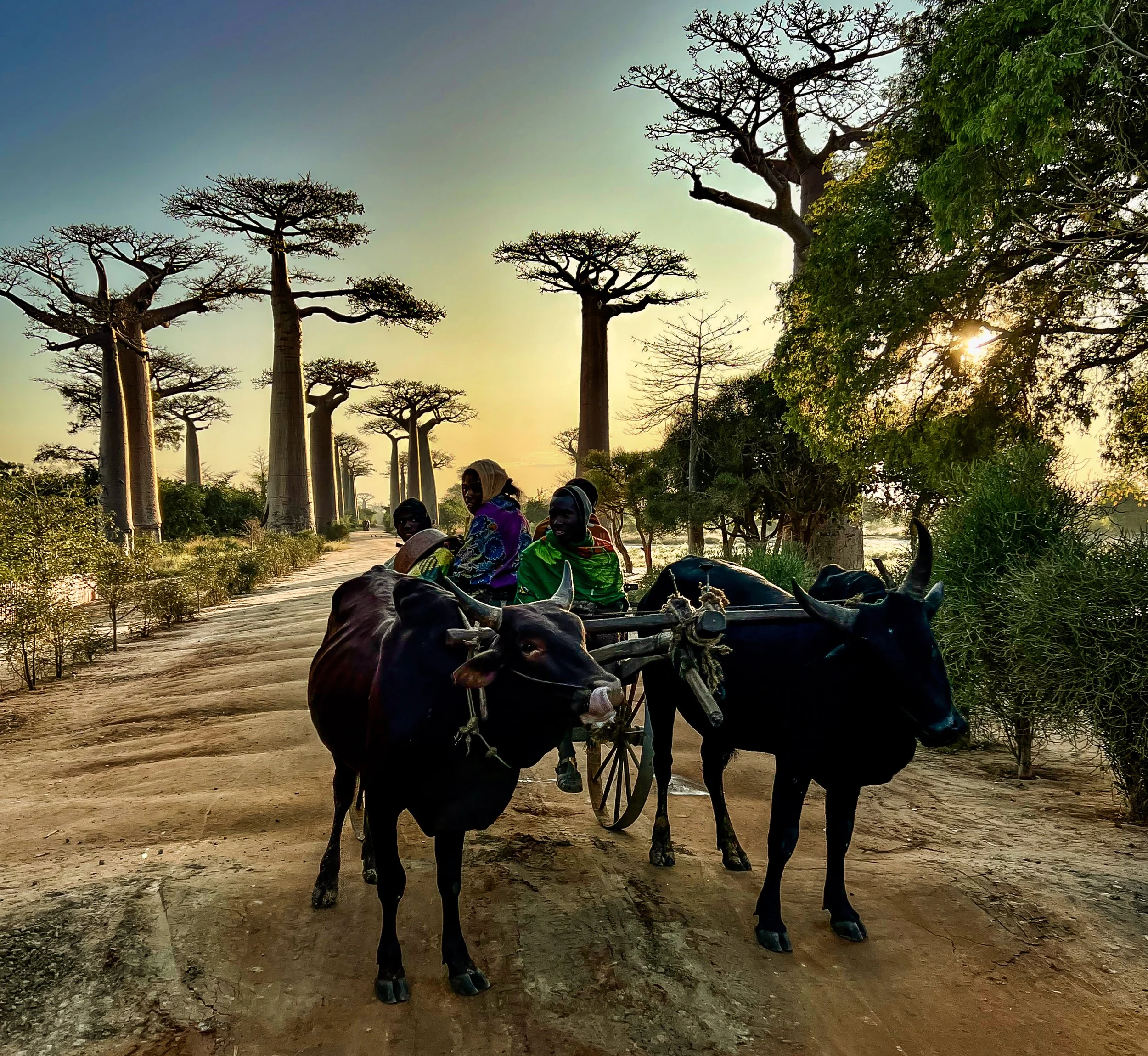 website compression-155.jpg