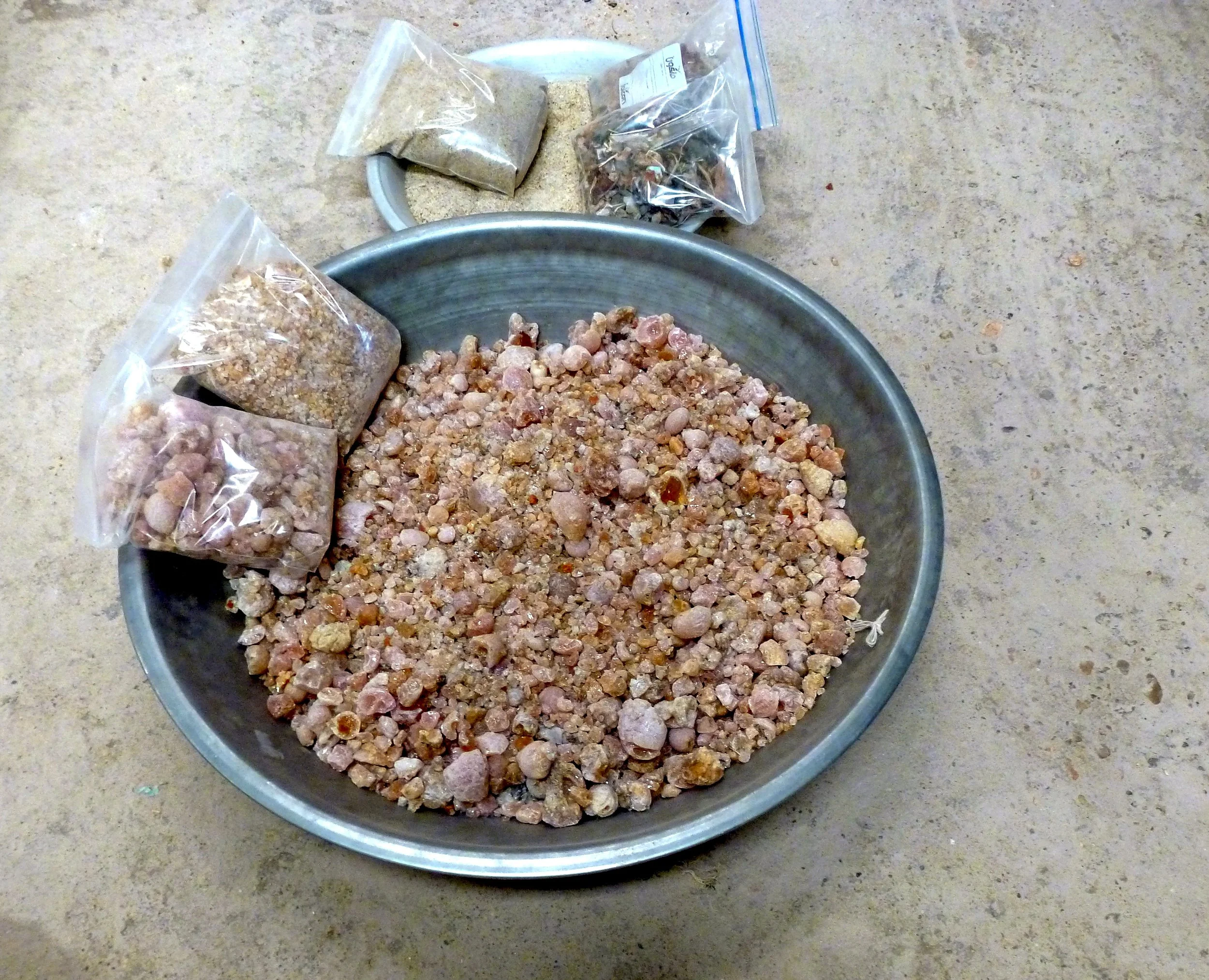 P1000505.jpg