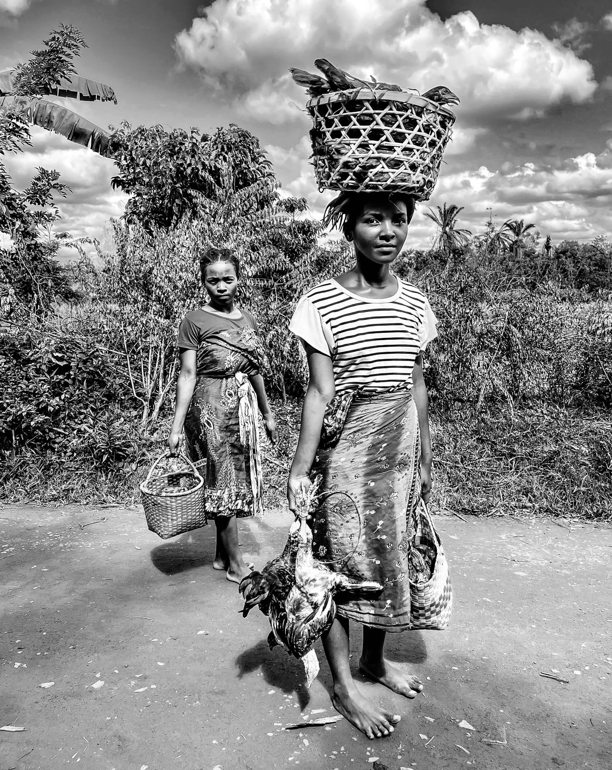 website compression-42.jpg