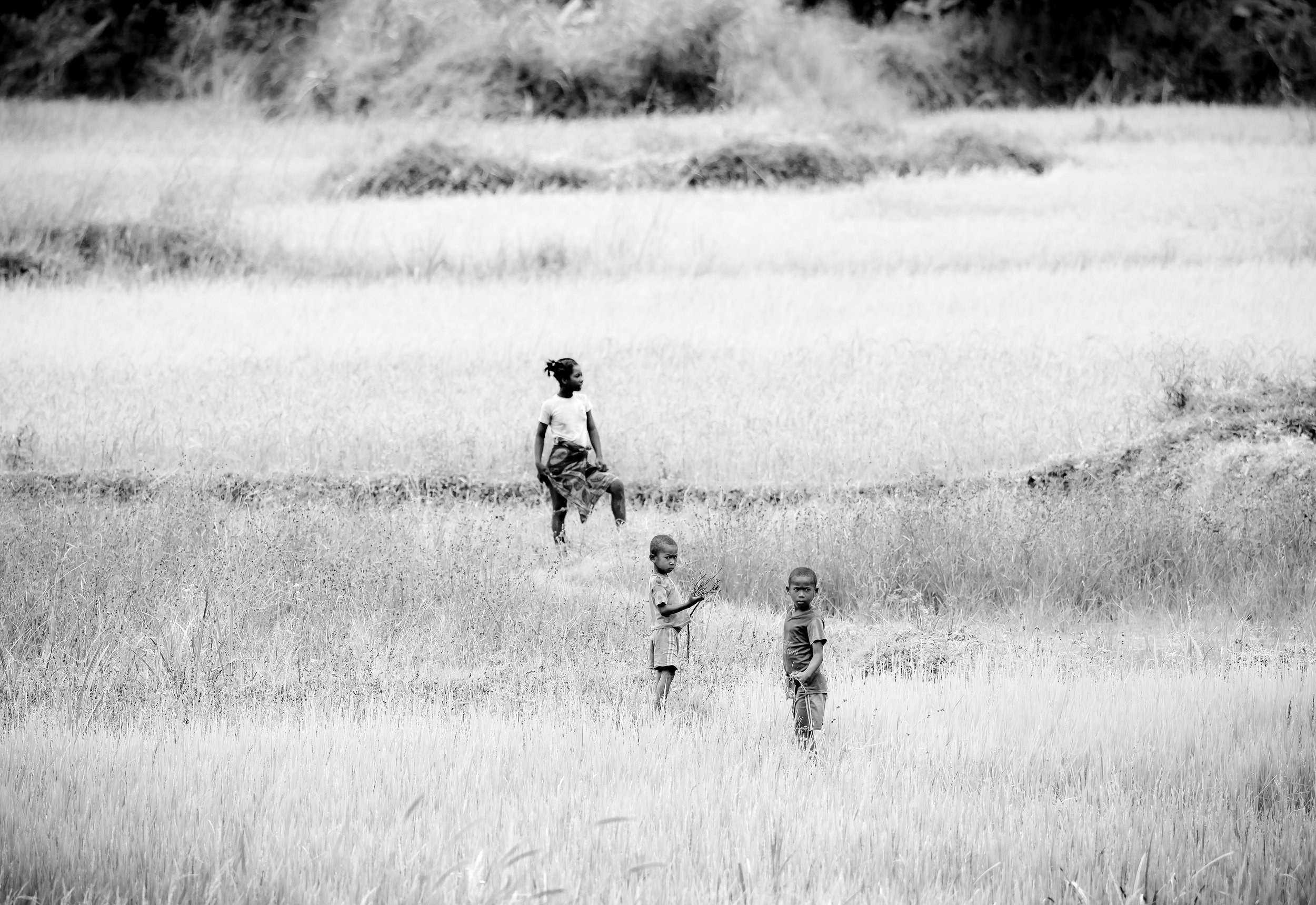 website compression-35.jpg