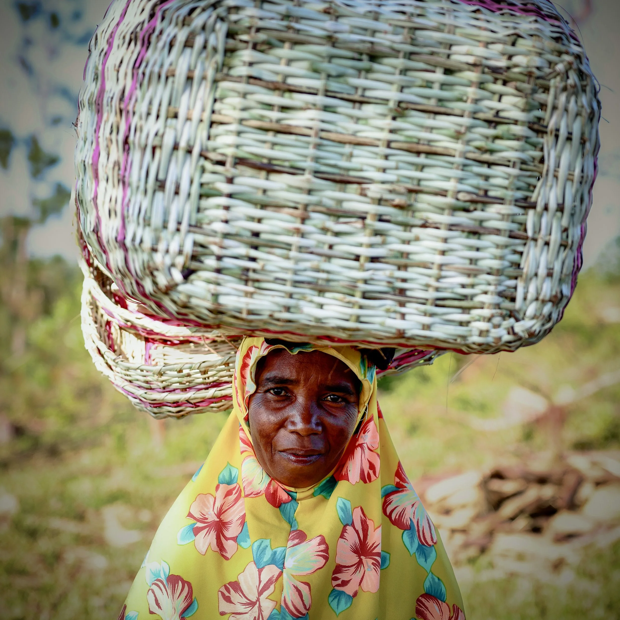 website compression-10.jpg