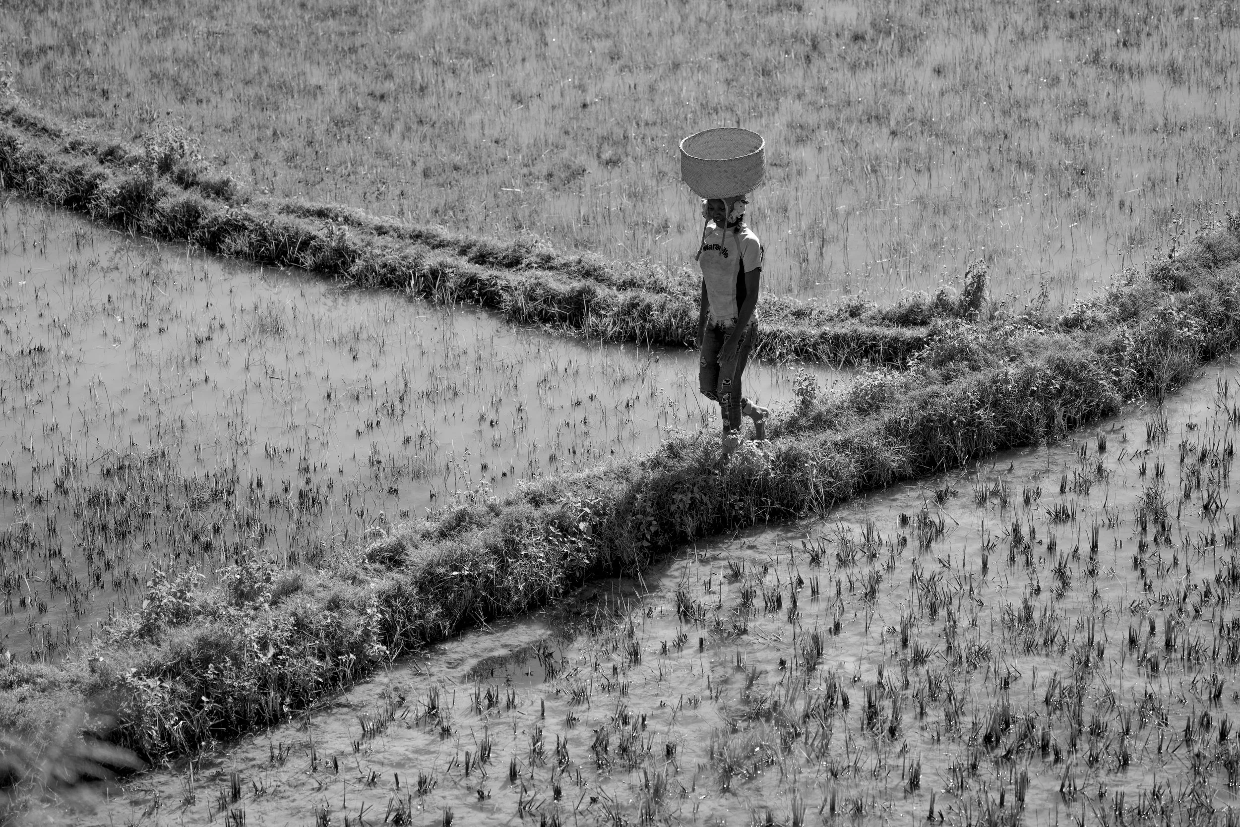 website compression-94.jpg