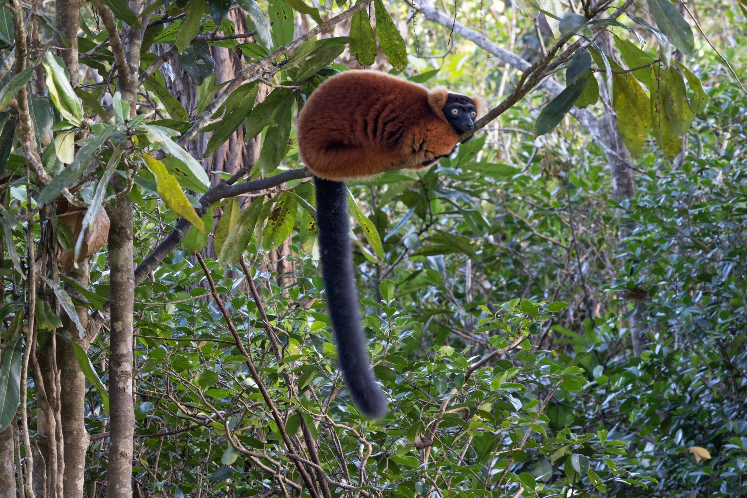 website compression-7.jpg