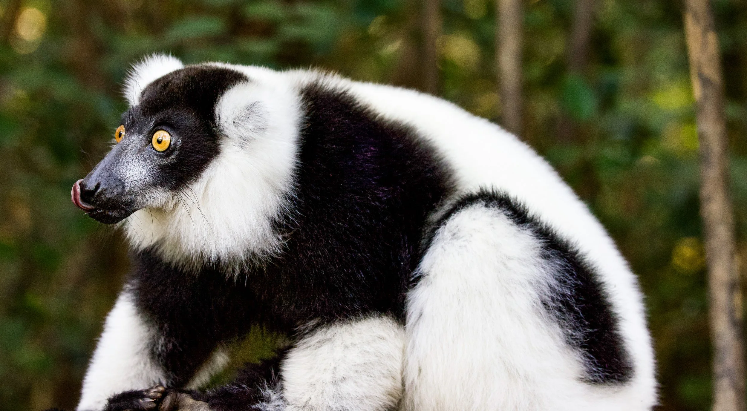 website compression-171.jpg