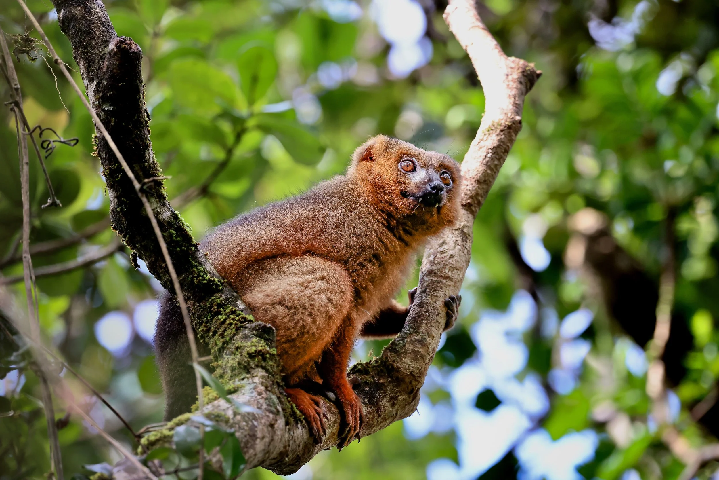 website compression-59.jpg